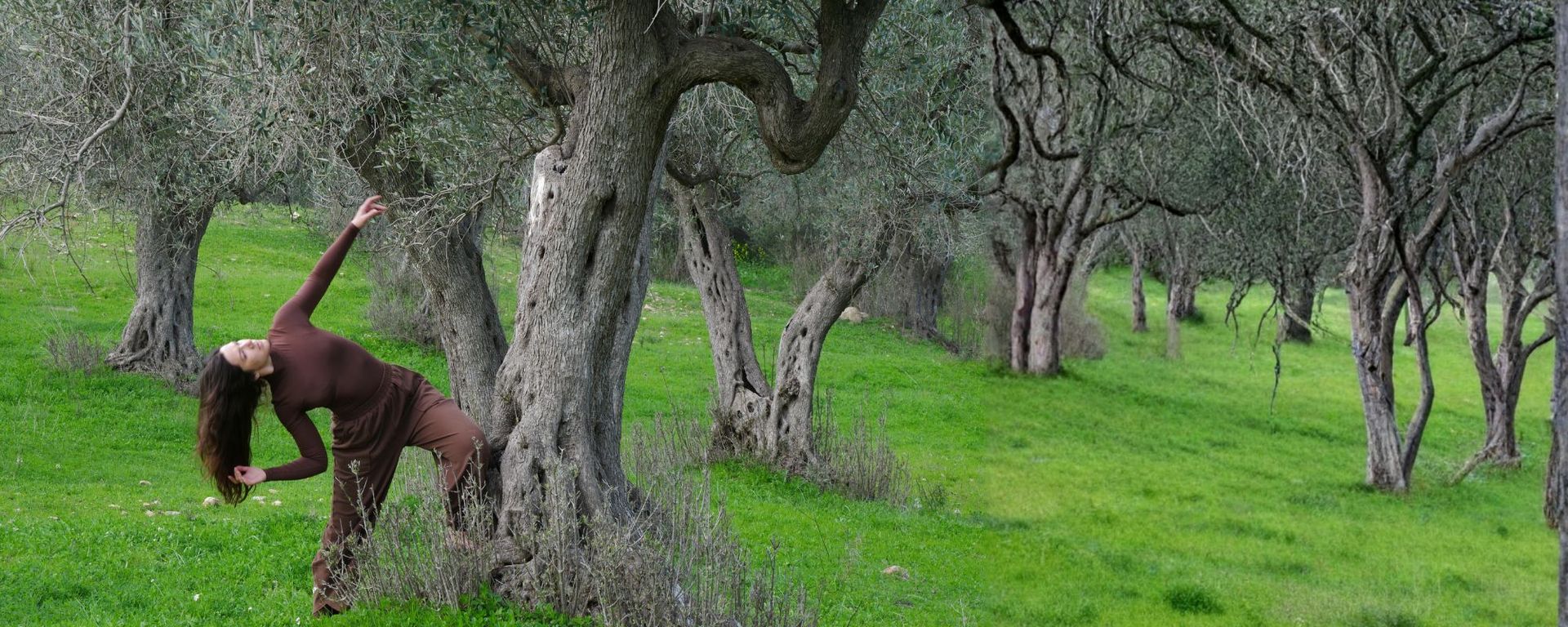 Movement Meditation for Creative Living