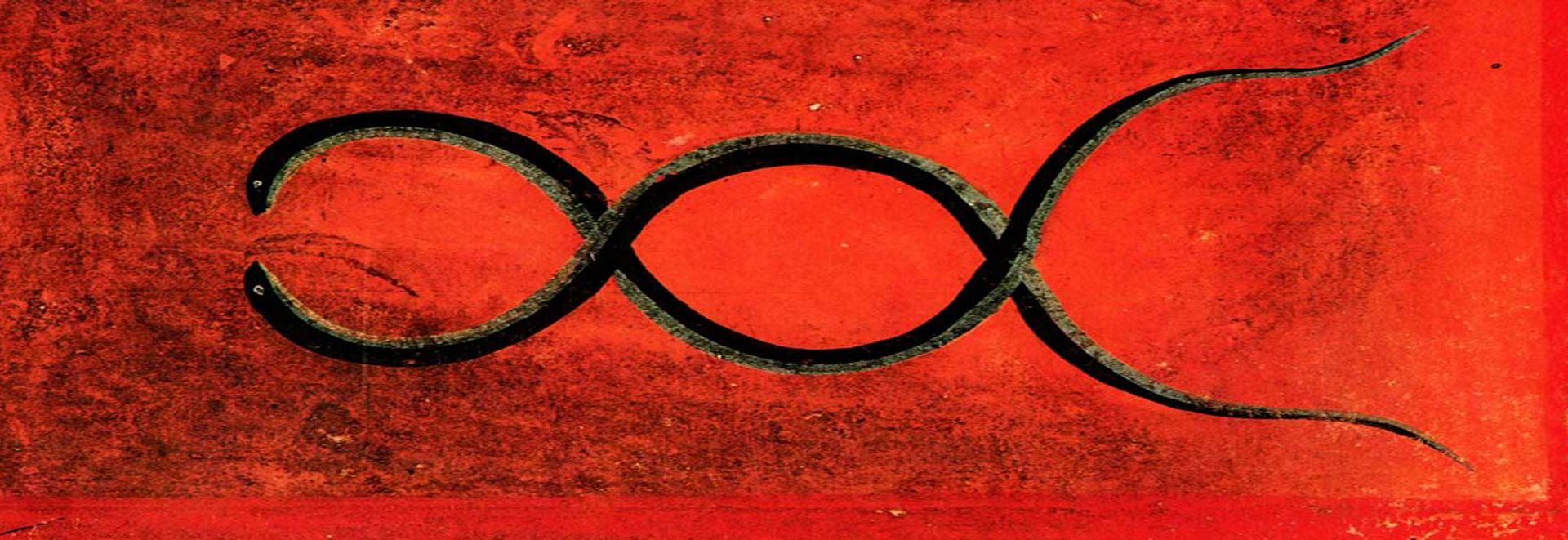 Plonger dans l'obscurité