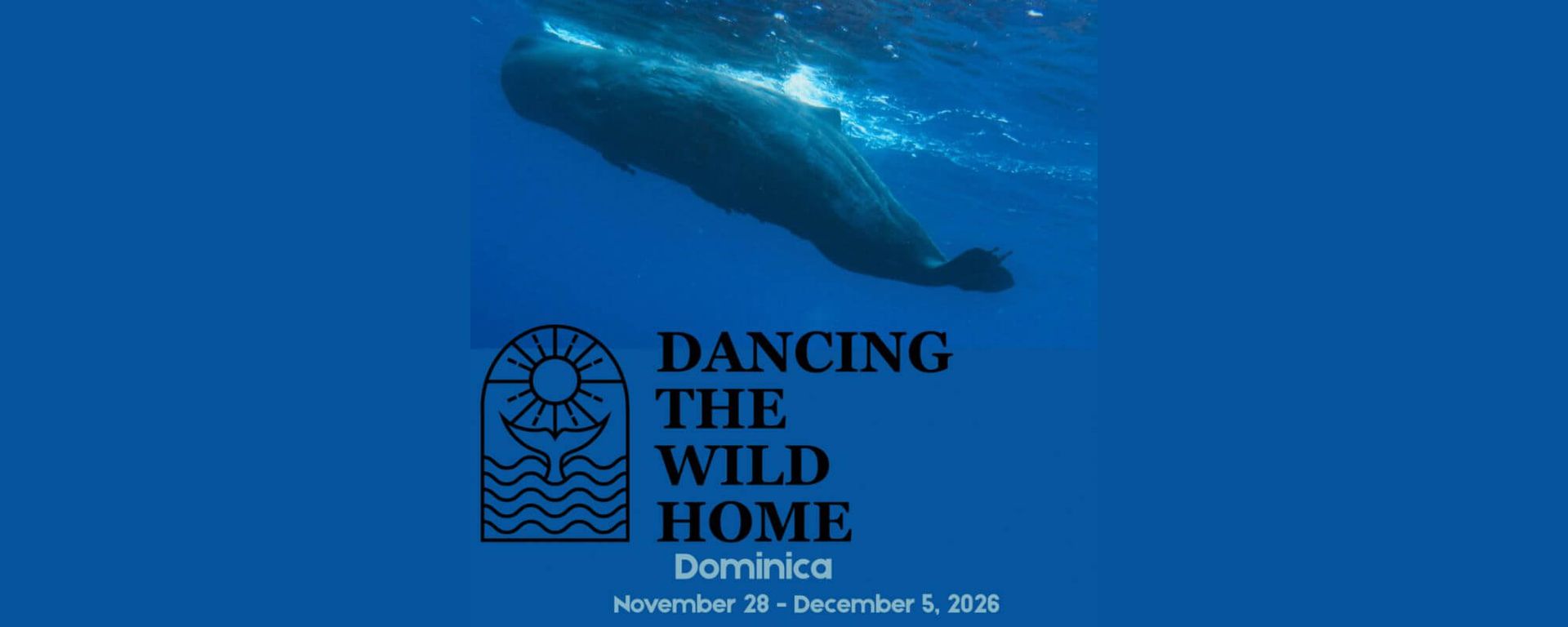 Dancing the Wild Home