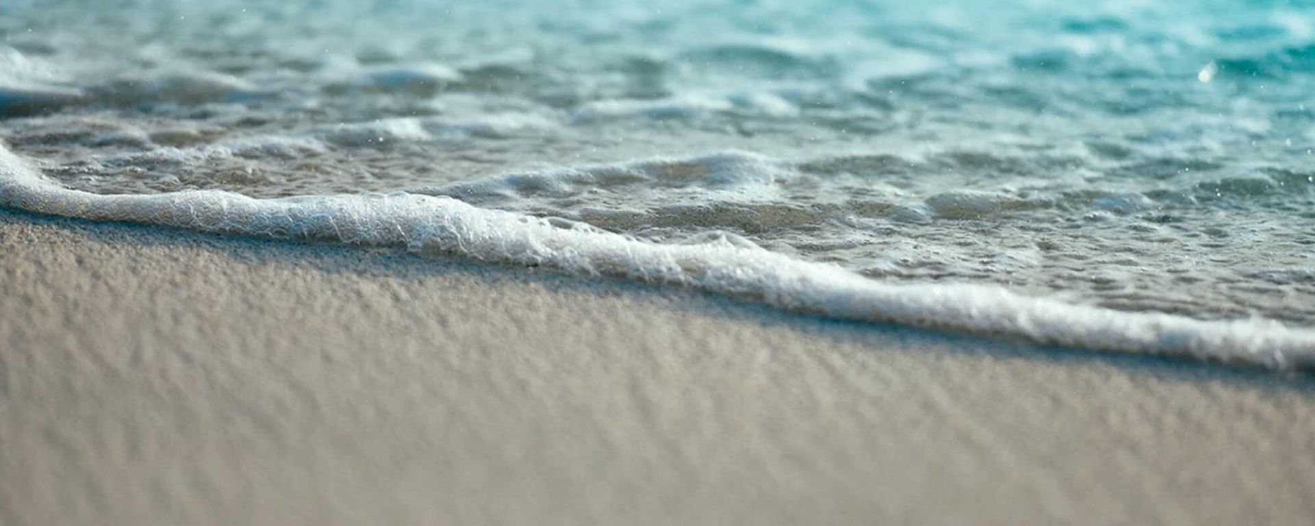 Coming Home to the Wisdom of the Body