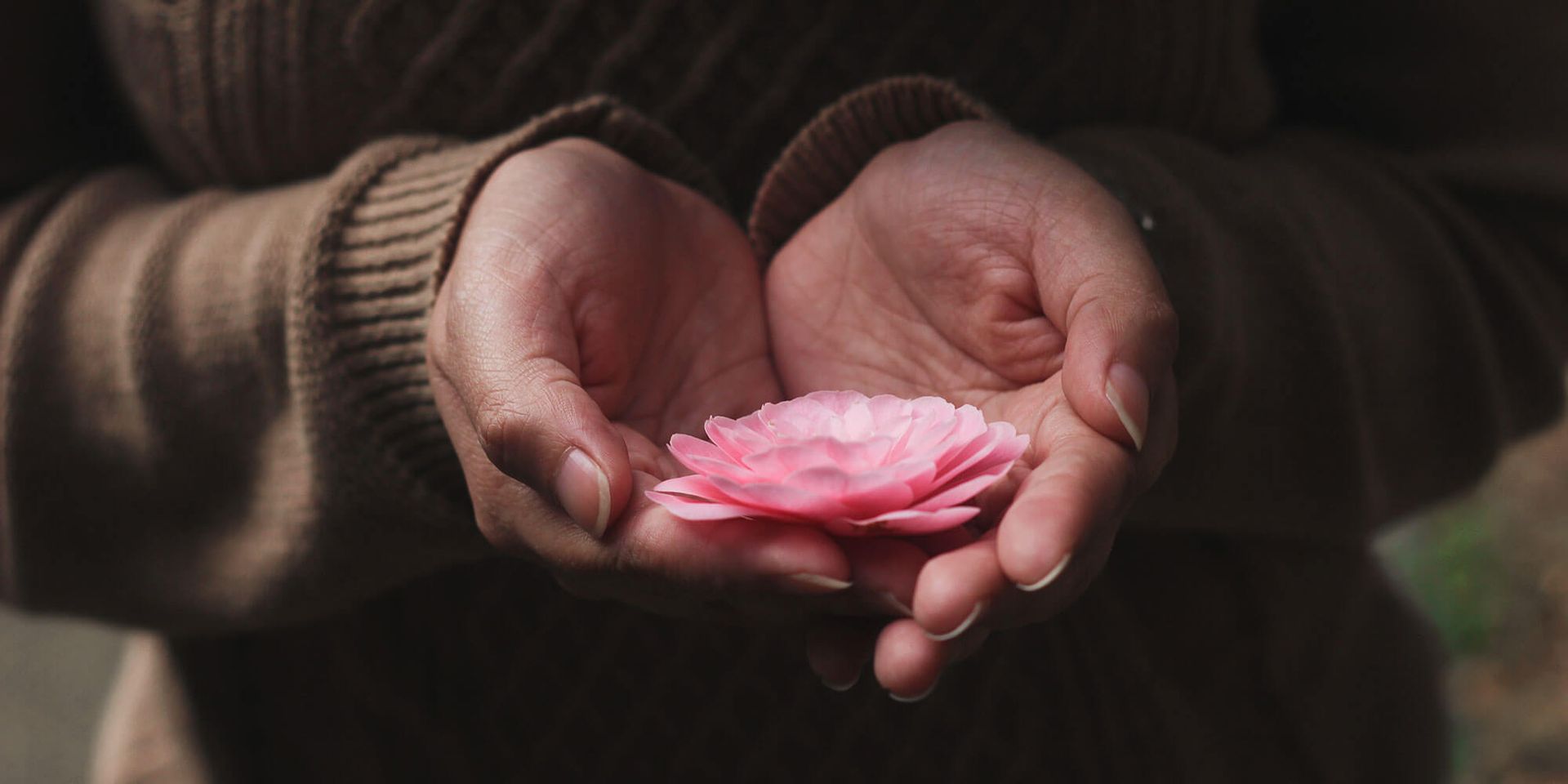 El camino de la resiliencia o cómo cambiar el mundo (de un soplo a la vez)