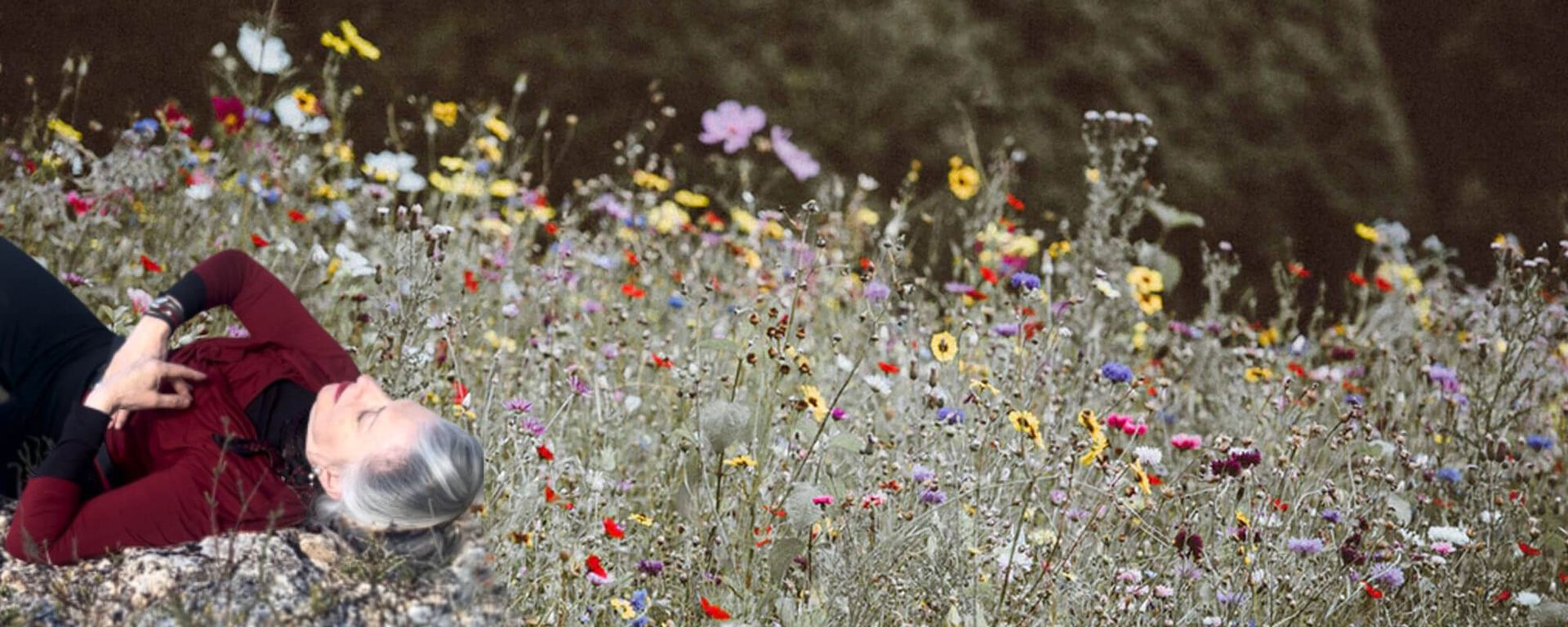 Continuum ~ The Art and Biology of the Heart