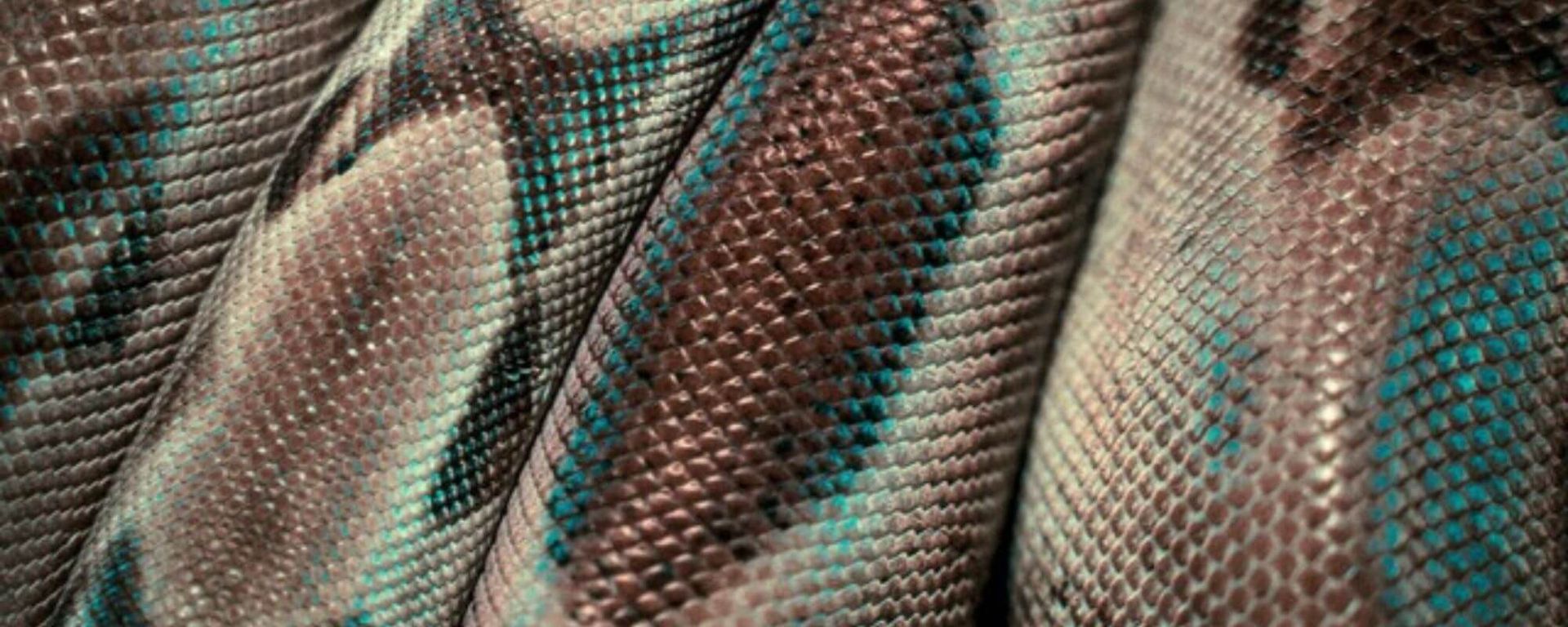 The Skin: A Portal Between Worlds