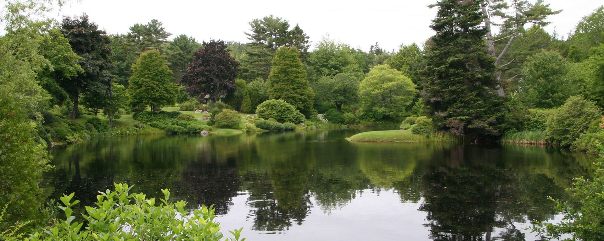 Meditación guiada y exploración del movimiento del elemento aire