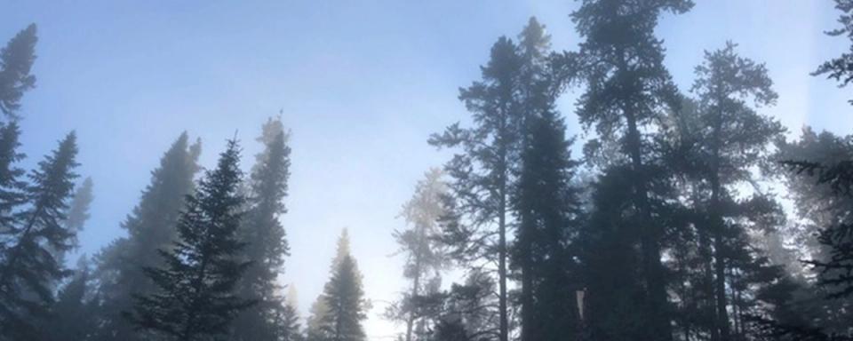 Chapitre 1: Philippe Barré