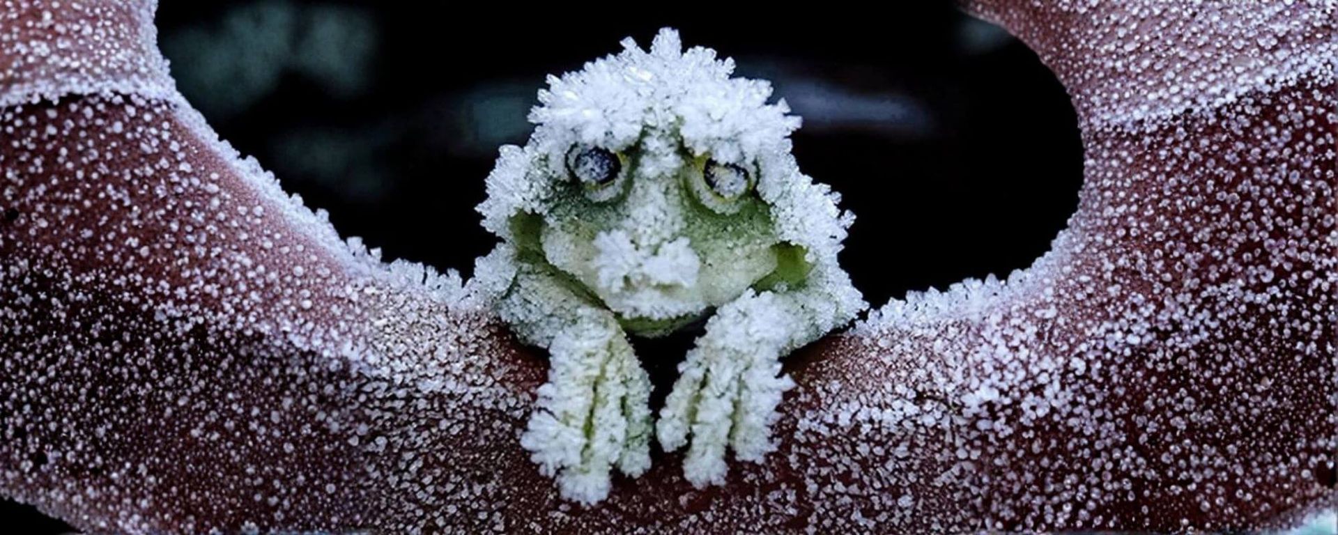 Continual Renewal Thursdays