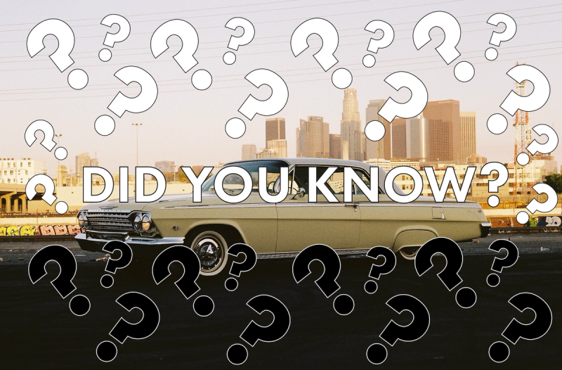 Did You Know? Exploring Shaka Wear's Hidden Gems