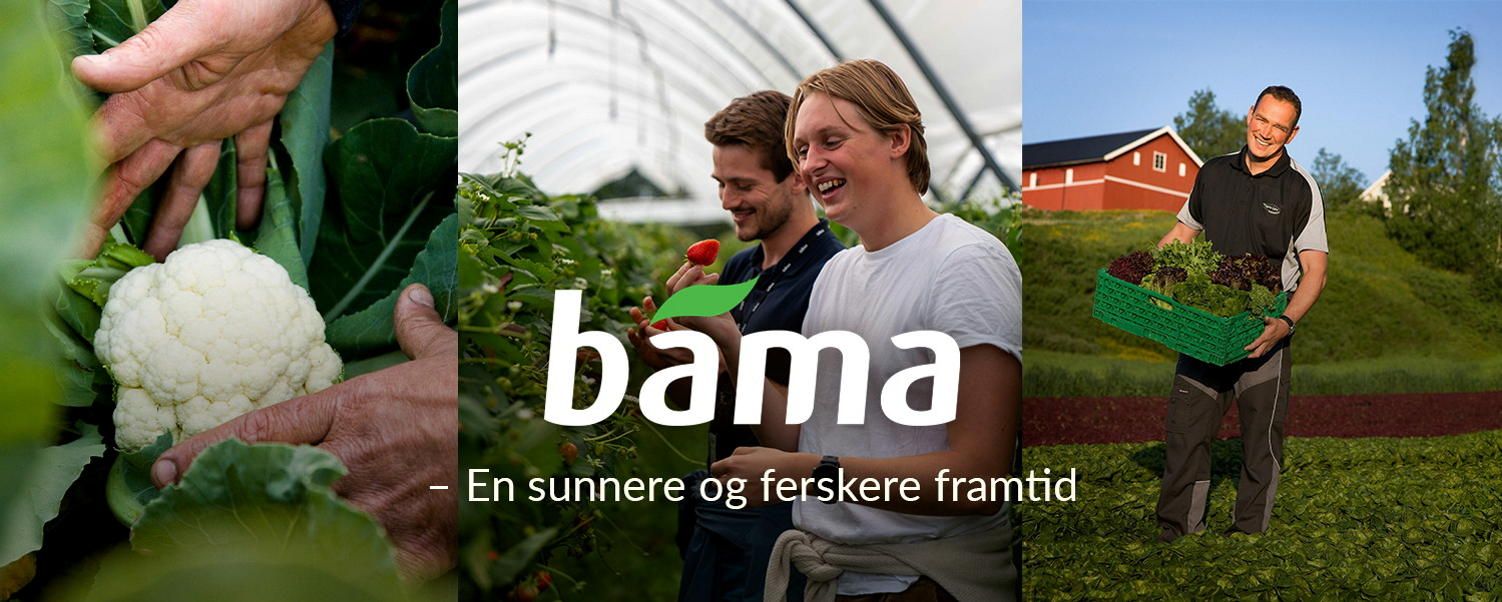 Banner med summer interns