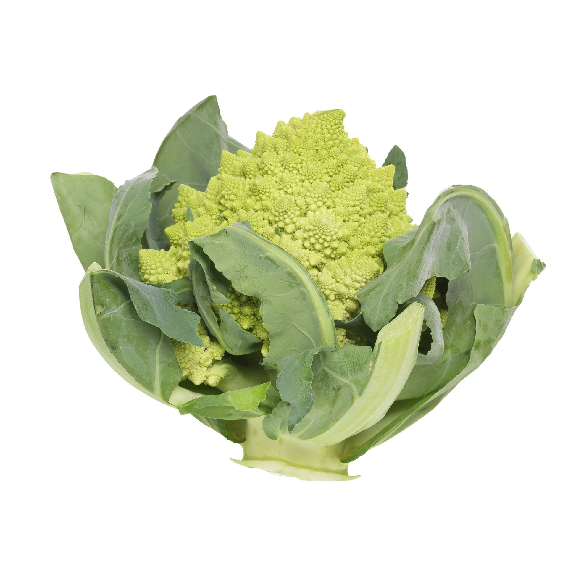 Et helt romanesco-kålhode med lysegrønne, spiralformede buketter omgitt av store, mørkere grønne blader. Grønnsaken ligger mot en hvit bakgrunn.