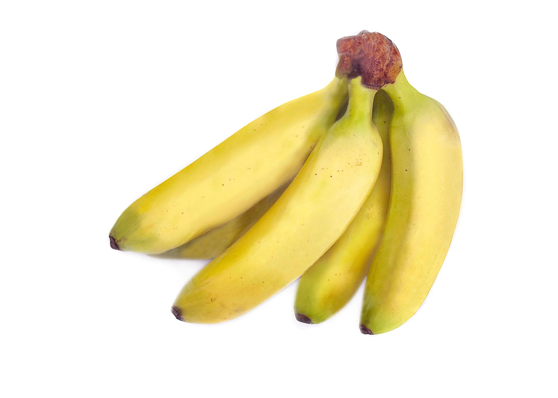 En klase med minibananer på hvit bakgrunn