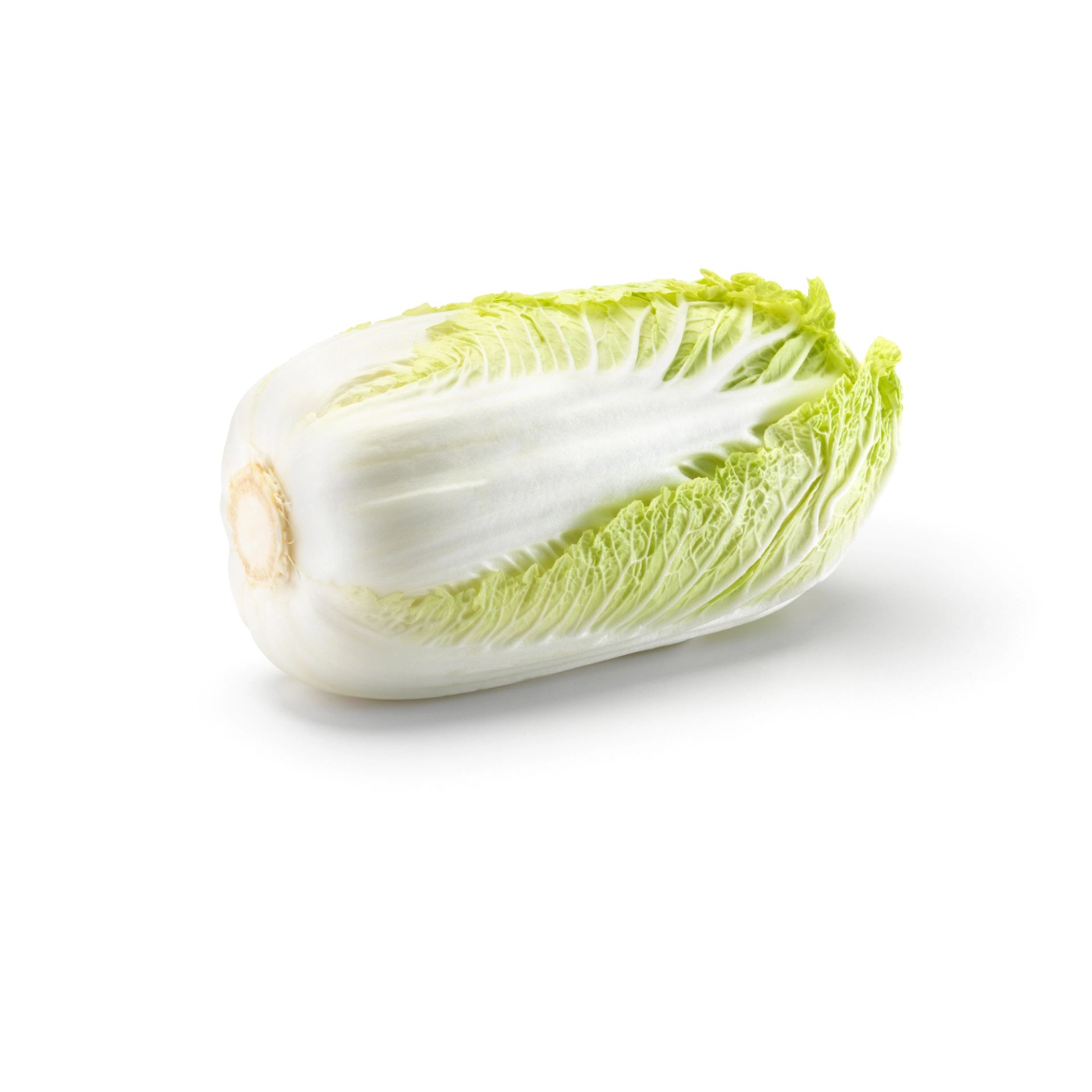 Et helt kinakål liggende på en hvit bakgrunn, med hvit stamme og lysegrønne, krusete blader.