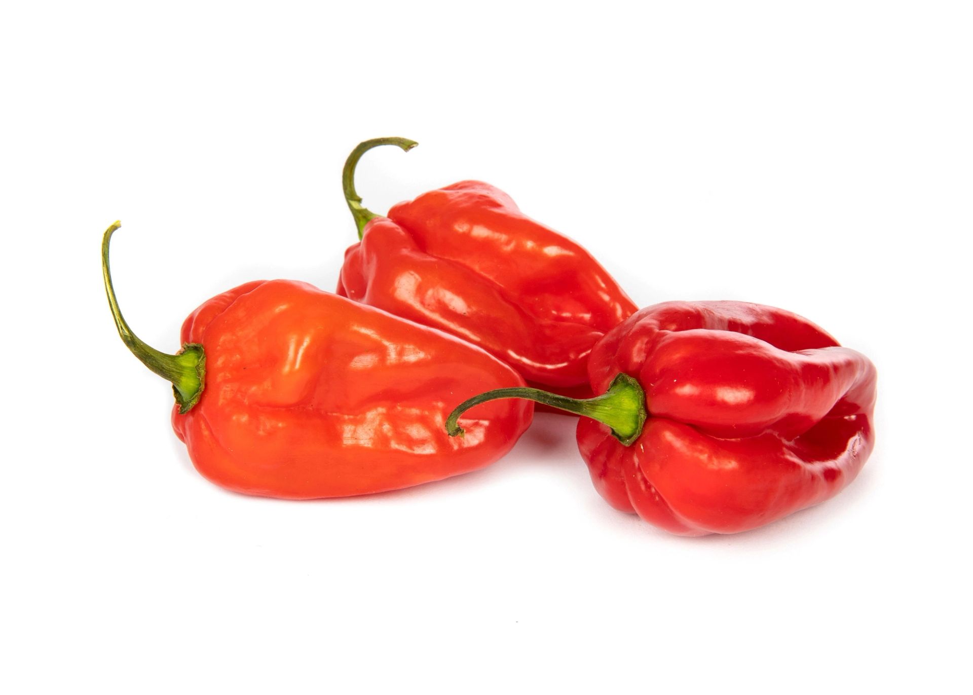 Tre røde chilipepper med blank overflate og grønne stilker, plassert på hvit bakgrunn.