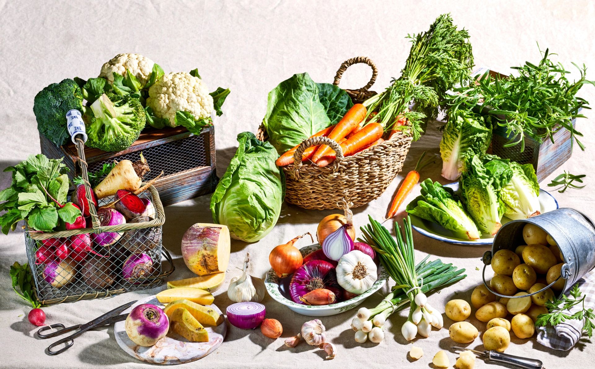 Stort utvalg av ferske grønnsaker lagt utover et lyst underlag, blant annet blomkål, brokkoli, kål, gulrøtter, poteter, løk, hvitløk, reddiker og salat, presentert i kurver, boller og løst arrangert.