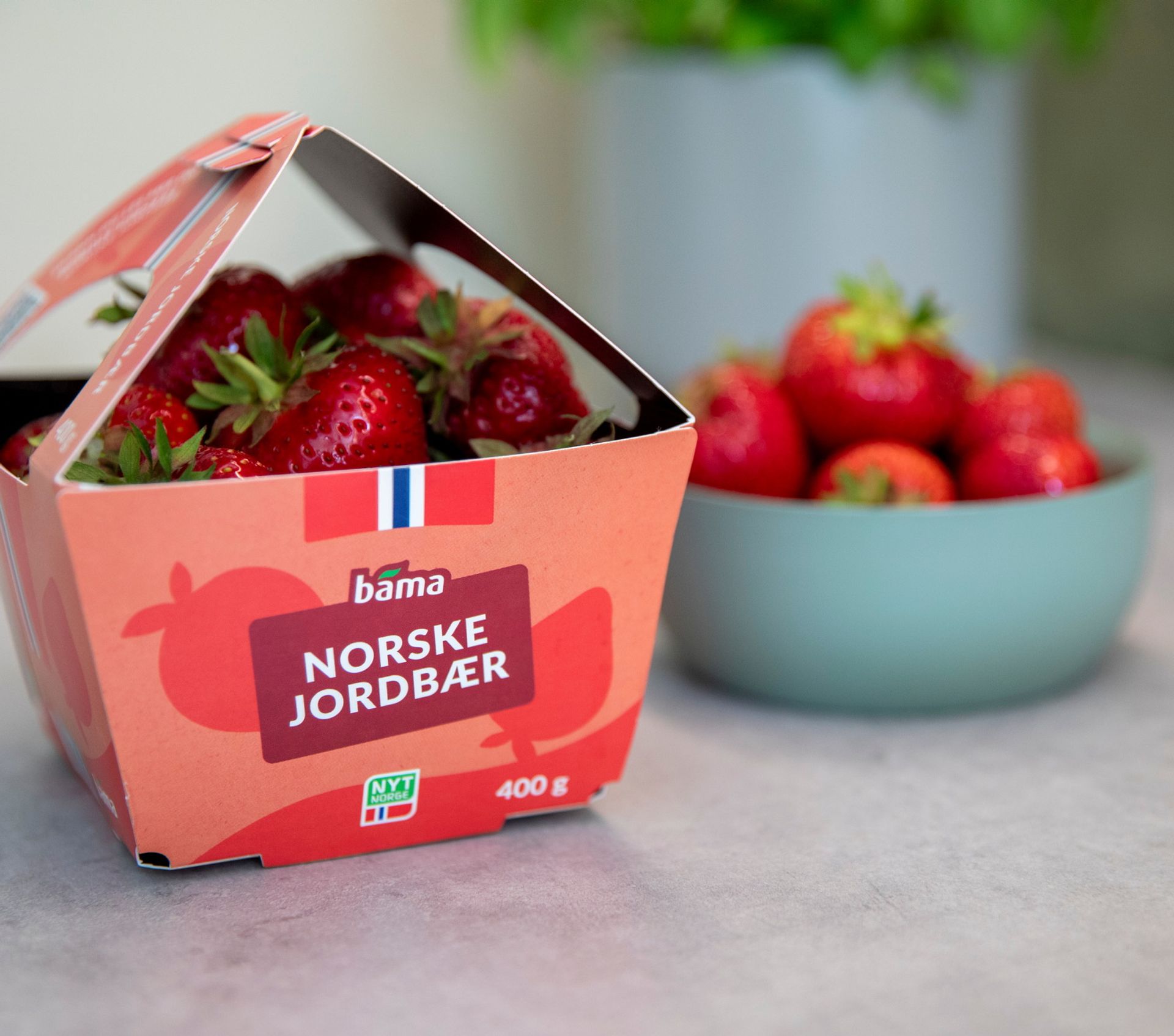 Norske jordbær