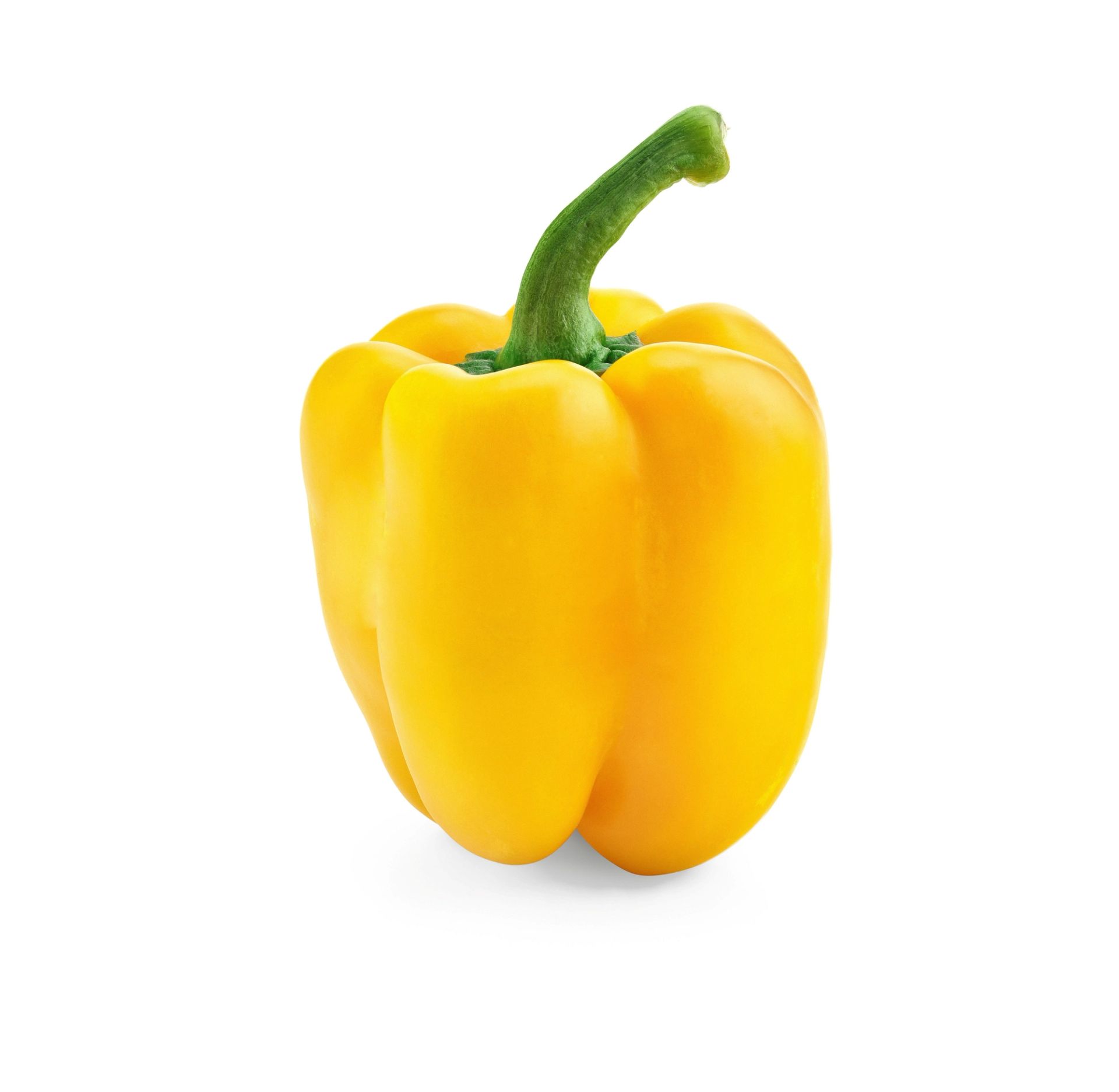 En hel gul paprika med stilk, stående mot hvit bakgrunn.