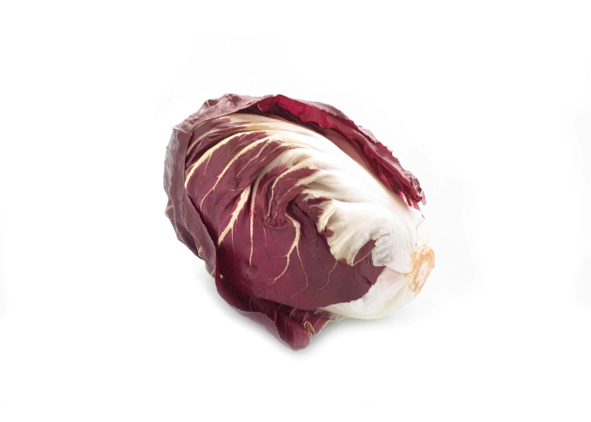 Et helt radicchio‑hode med mørkerøde blader og hvite årer, liggende mot en hvit bakgrunn