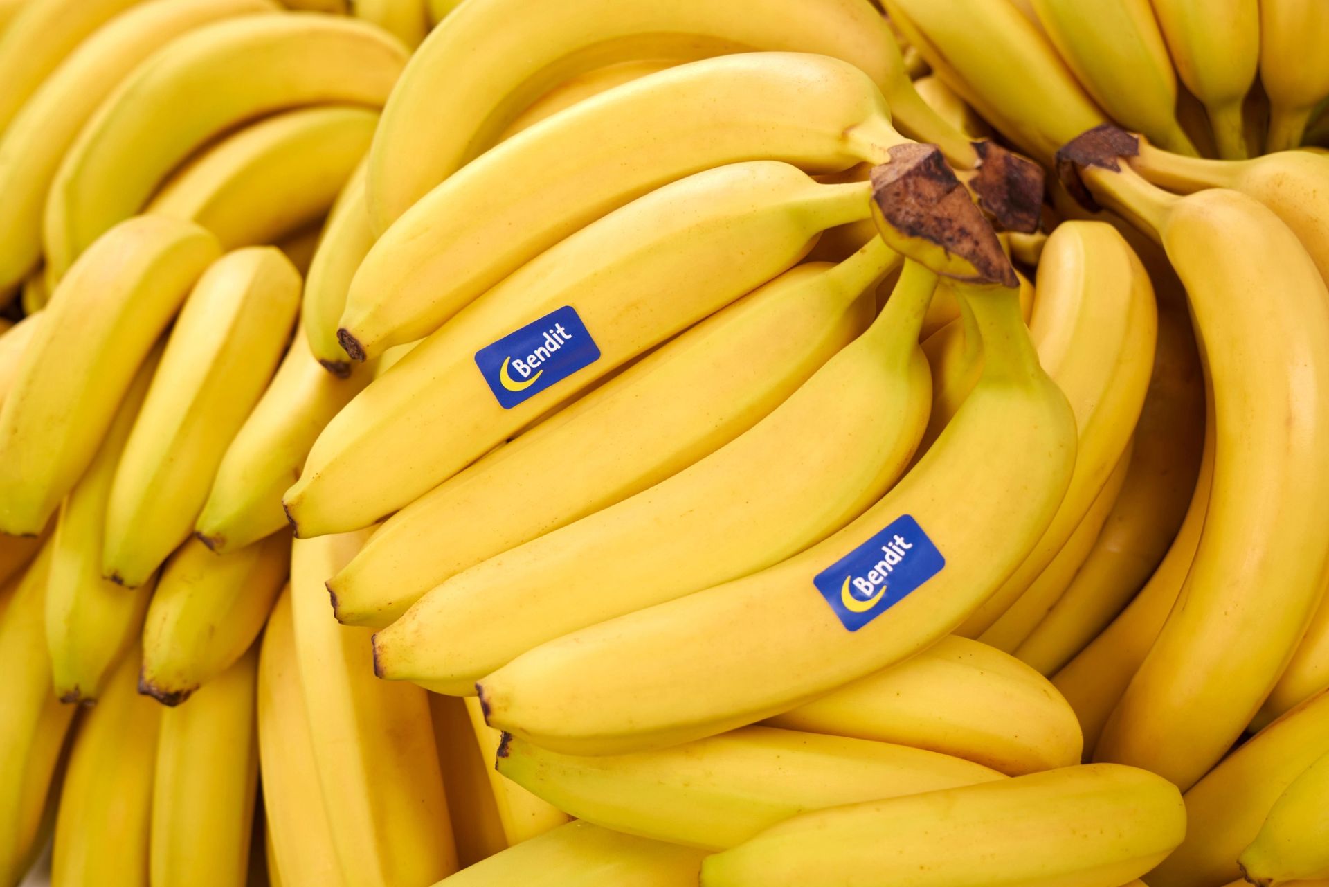 Bananer