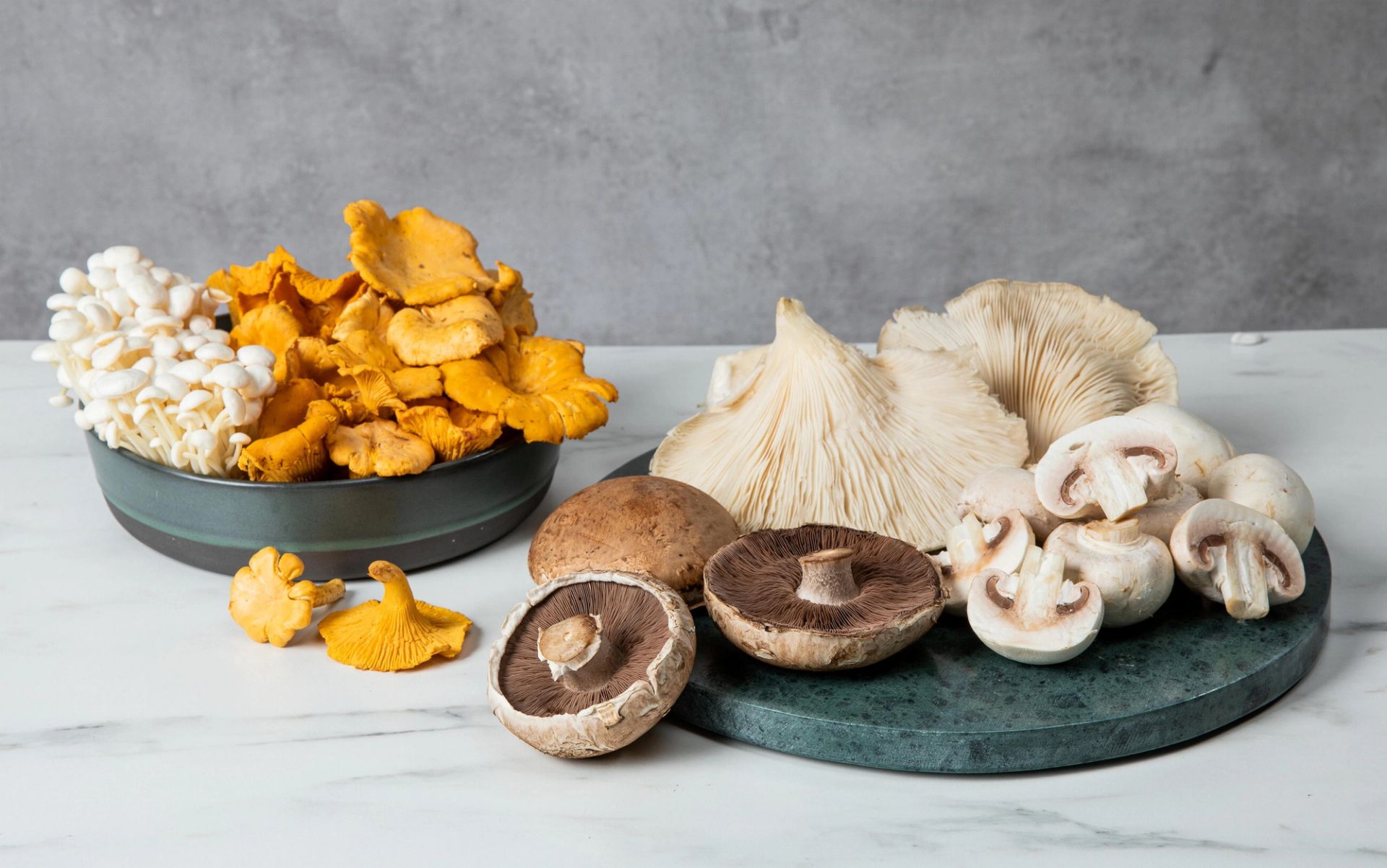 Et still-life-bilde av ulike typer sopp lagt på et lyst marmorbord: gule kantareller, hvite enokisopp, østerssopp og sjampinjonger arrangert på mørke grønne fat, med en grå, strukturert bakgrunn.