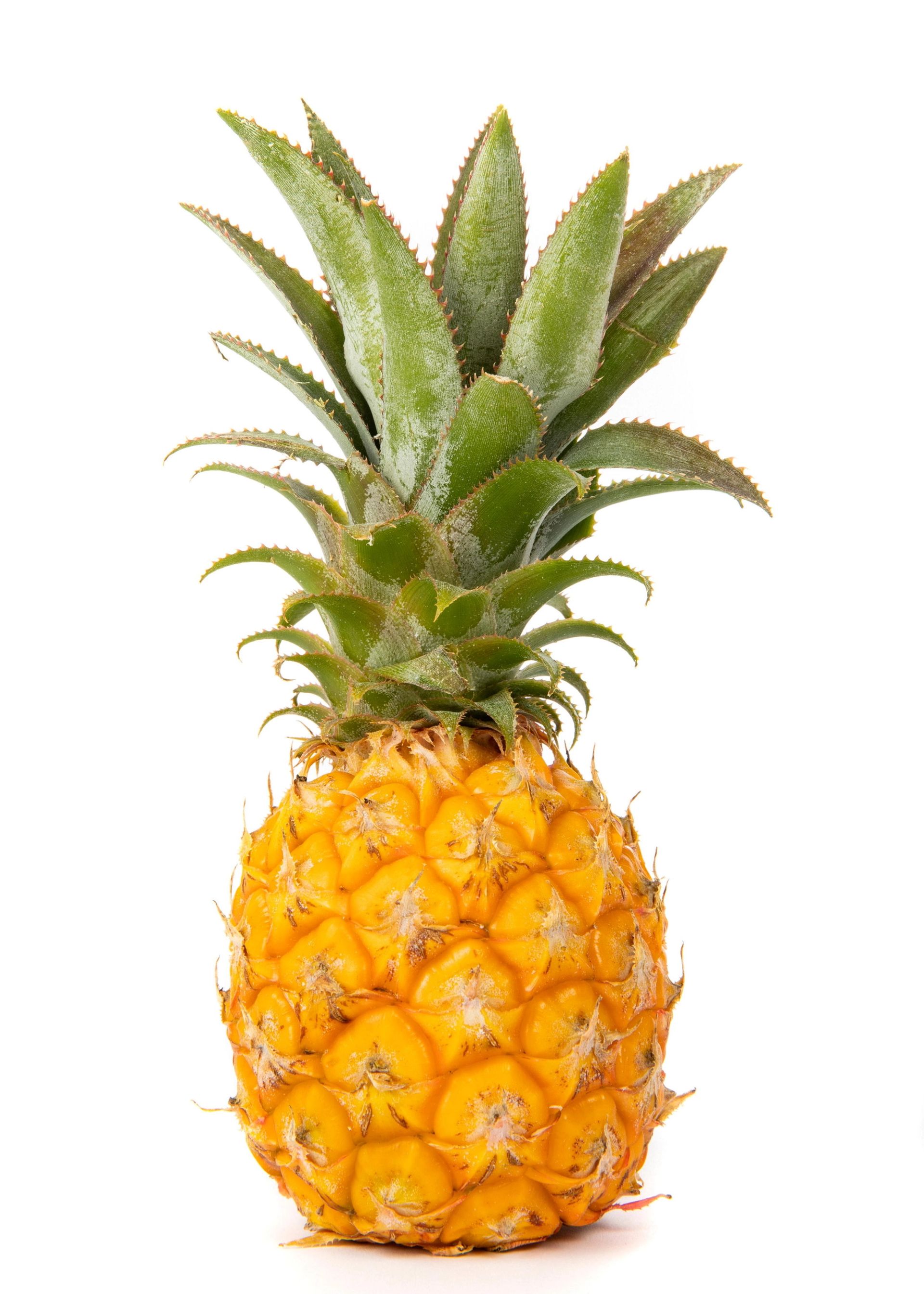 Mini ananas på hvit bakgrunn