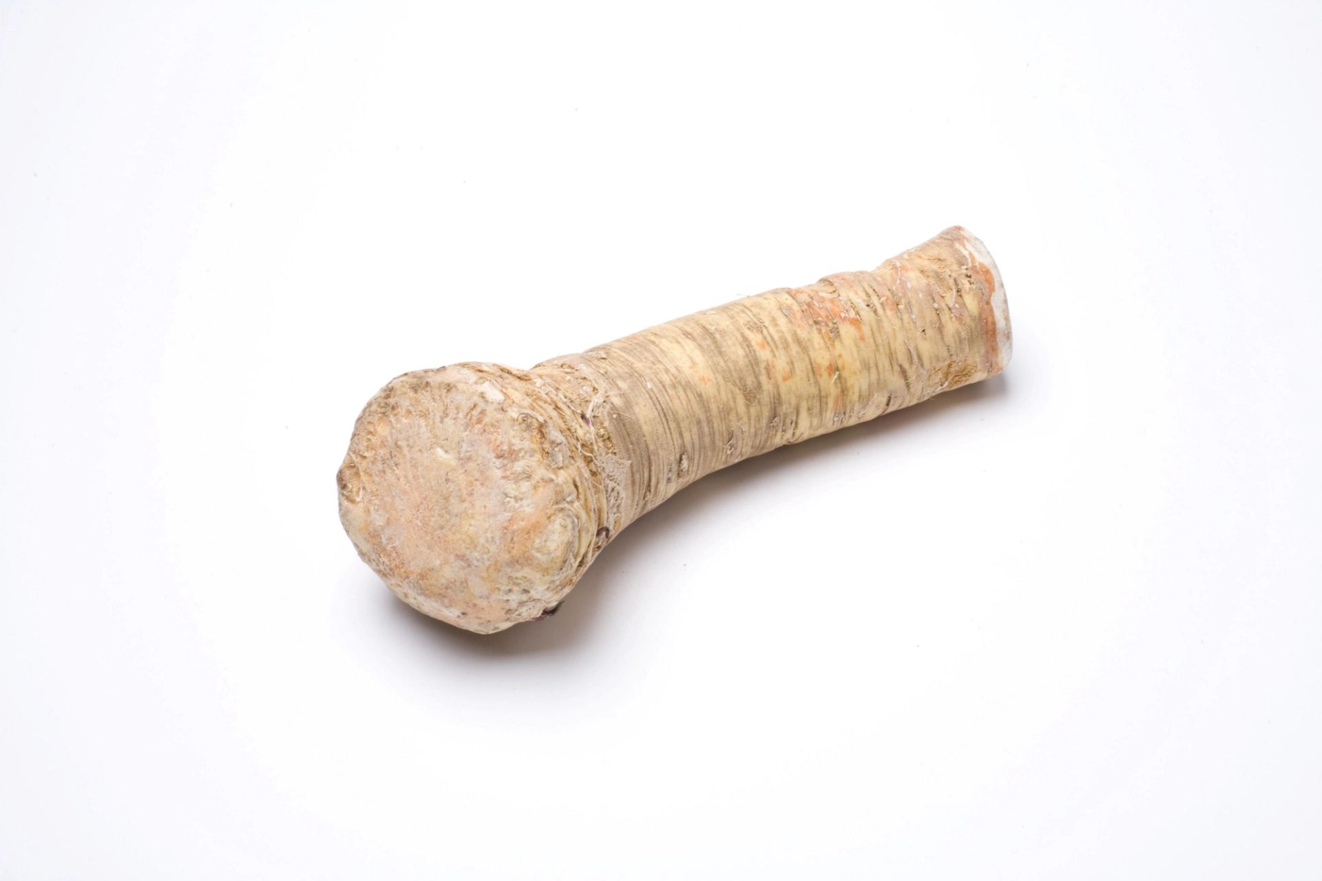 Hel pepperrot med grov, brunlig overflate og avskåret ende, plassert på hvit bakgrunn.