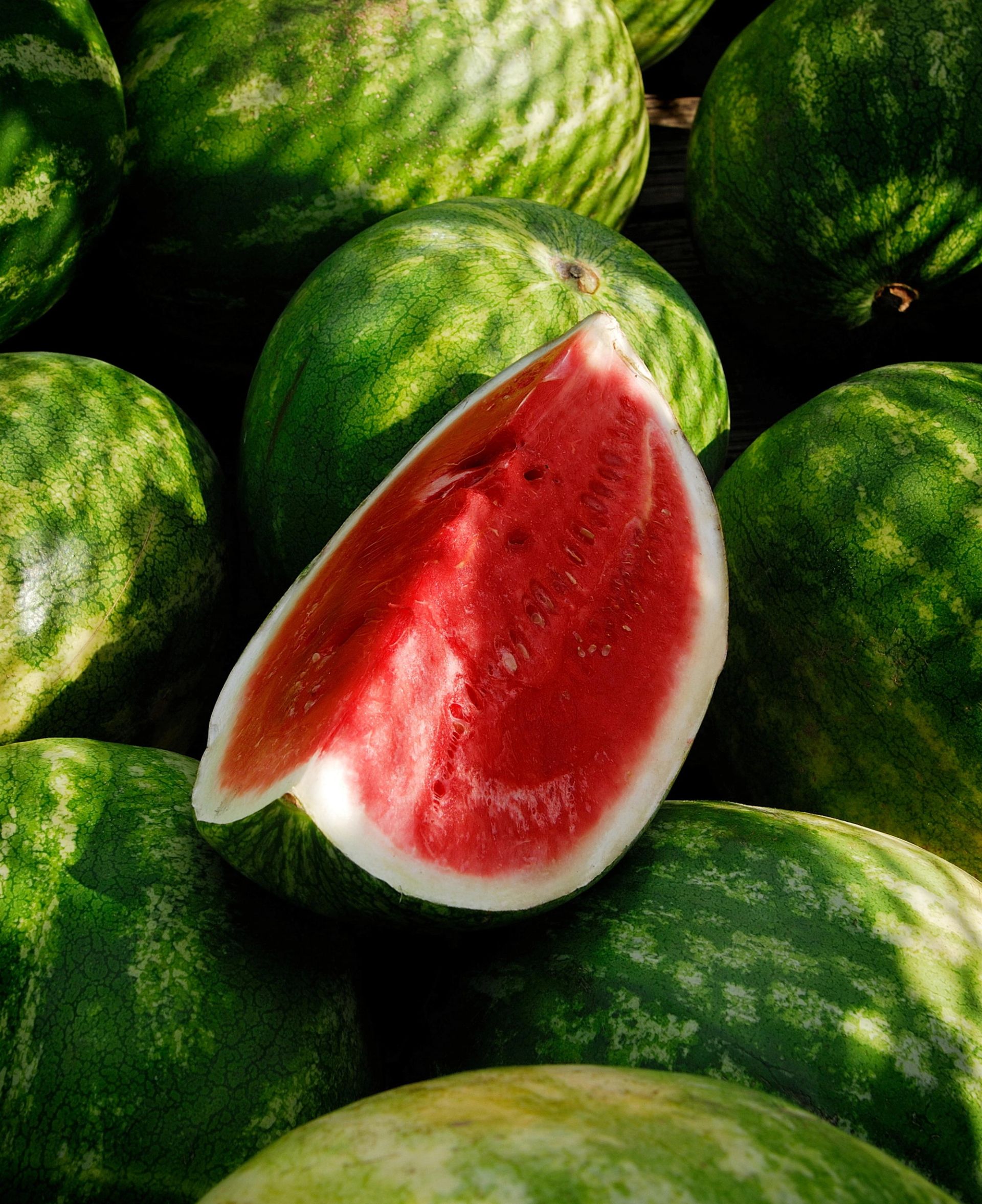 En skive rød melon med saftig rødt fruktkjøtt ligger oppå flere hele vannmeloner med grønn, stripete skallflate.