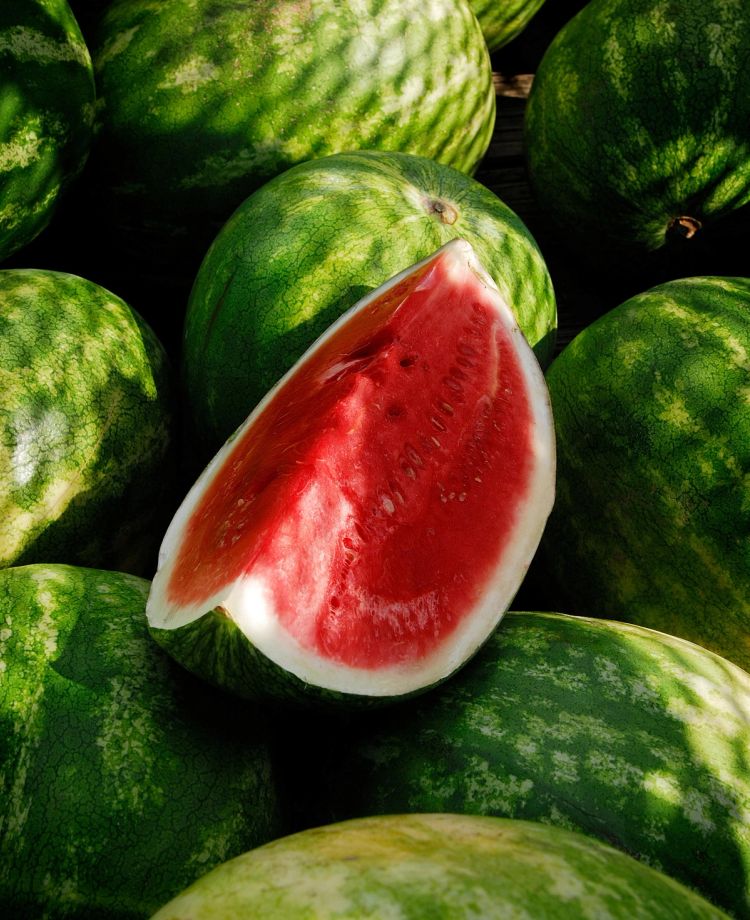 Vannmelon