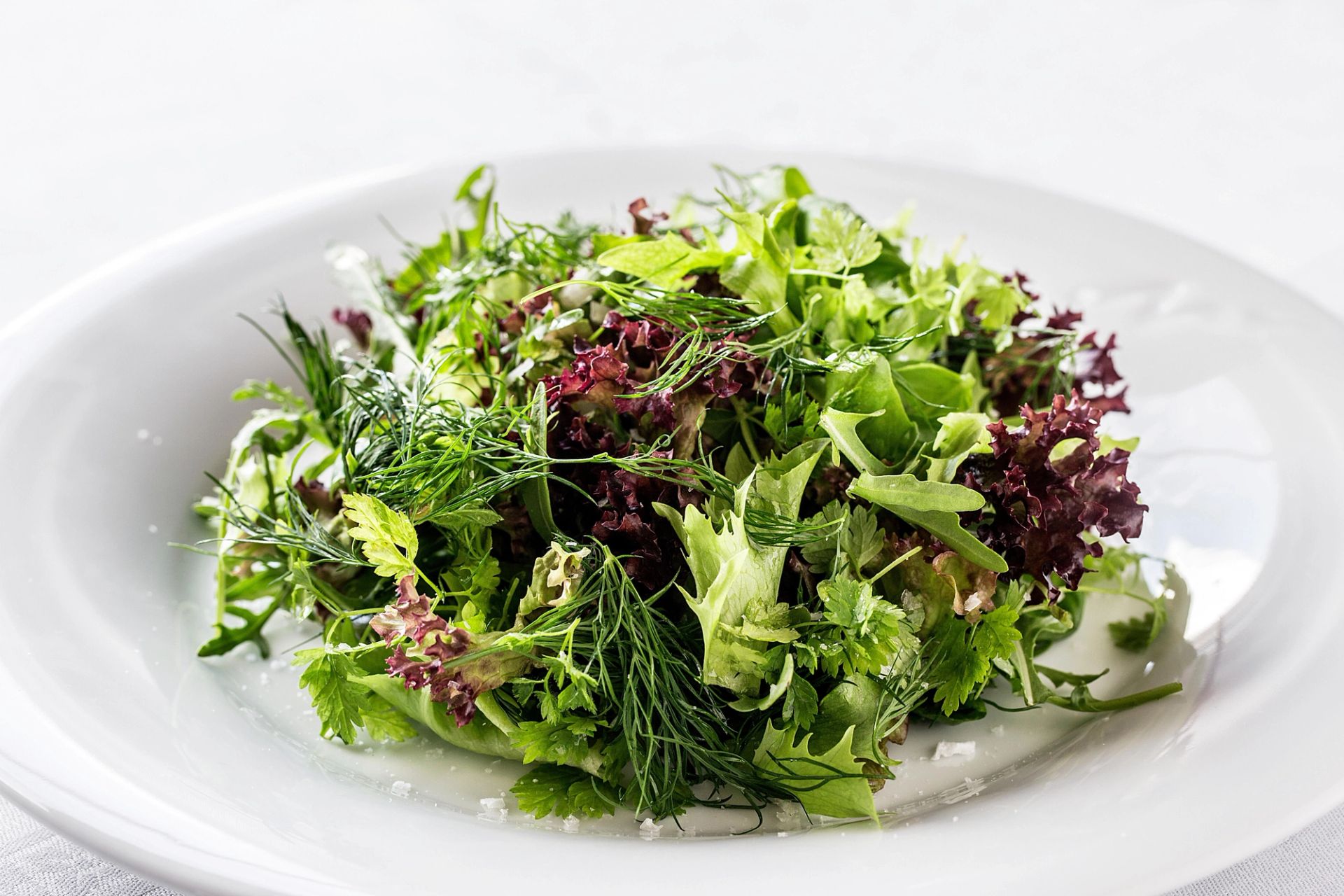 Blandet grønn salat med ulike salattyper og friske urter som dill og persille, anrettet på hvit tallerken.