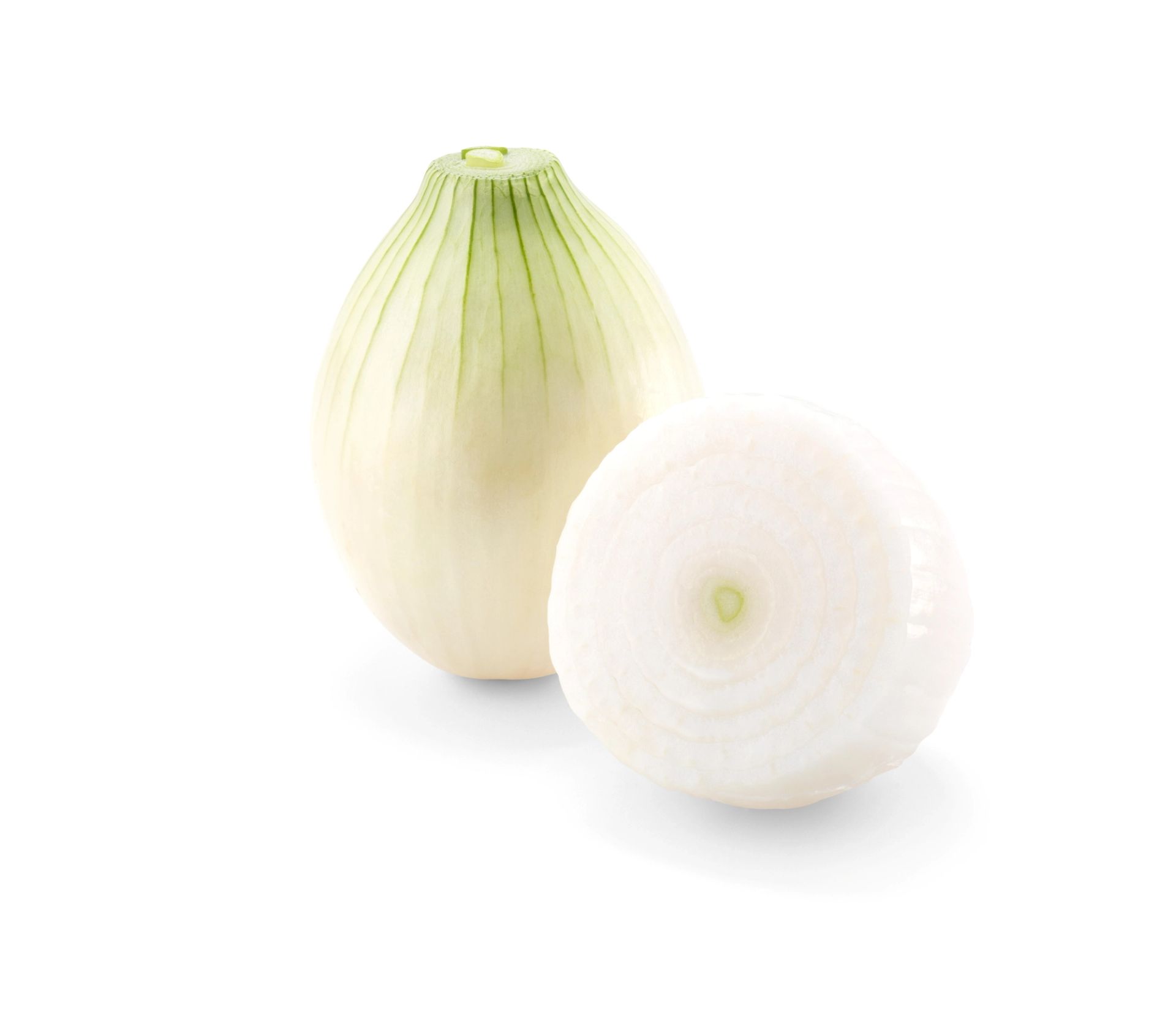 En hel hvit løk og en halv hvit salatløk med snittflaten vendt framover, plassert mot hvit bakgrunn.