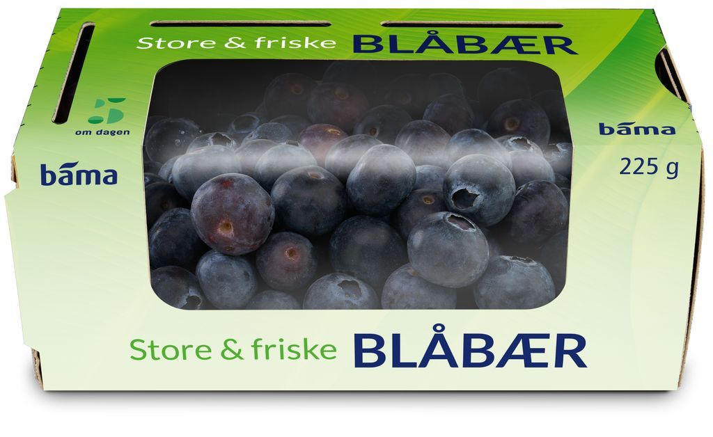 Blåbær shaker.jpg