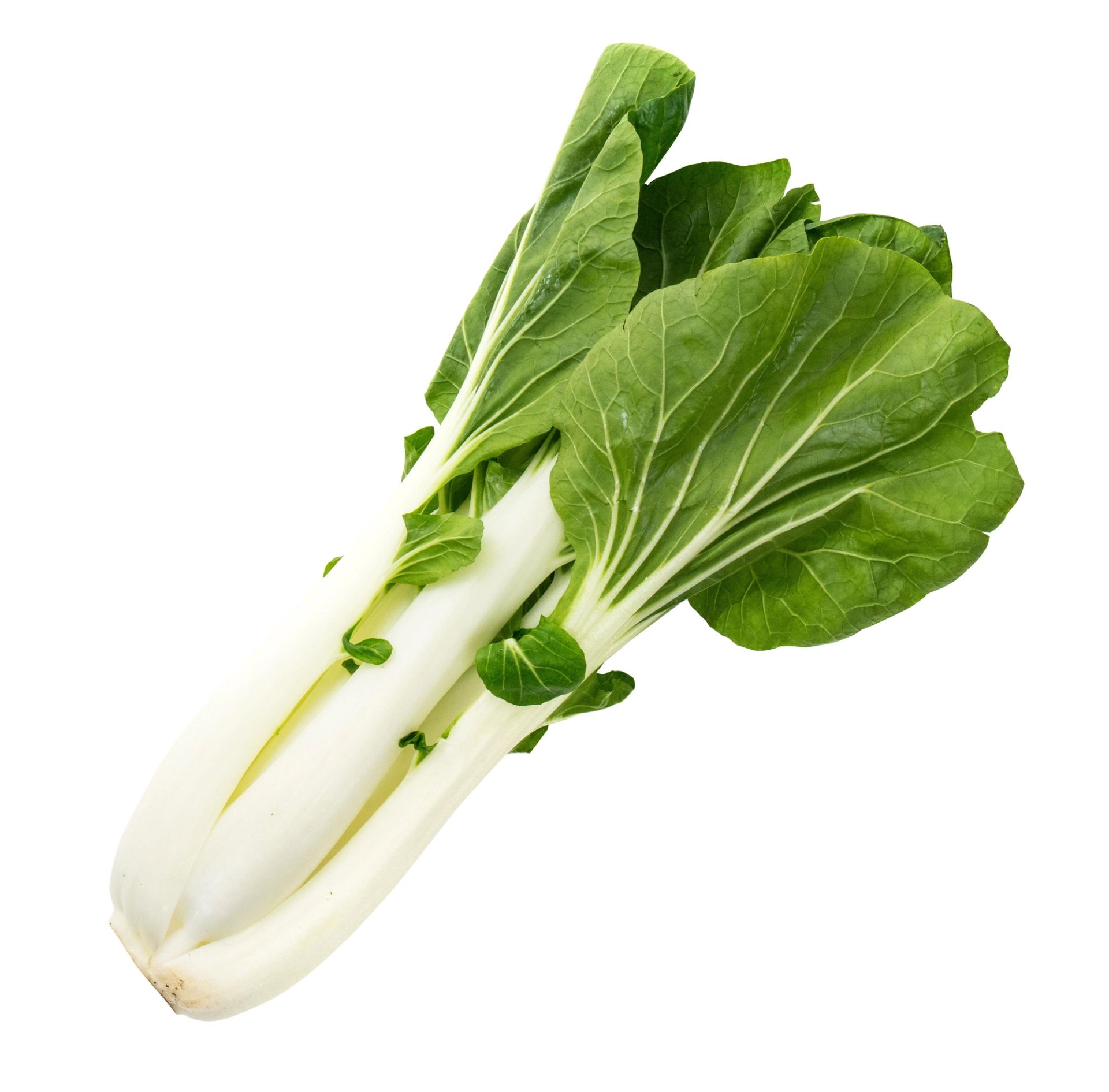 Et helt hode med pak choi (bok choy) som ligger på en hvit bakgrunn, med lysegrønne stilker og mørkere grønne, brede blader som sprer seg ut fra midten.