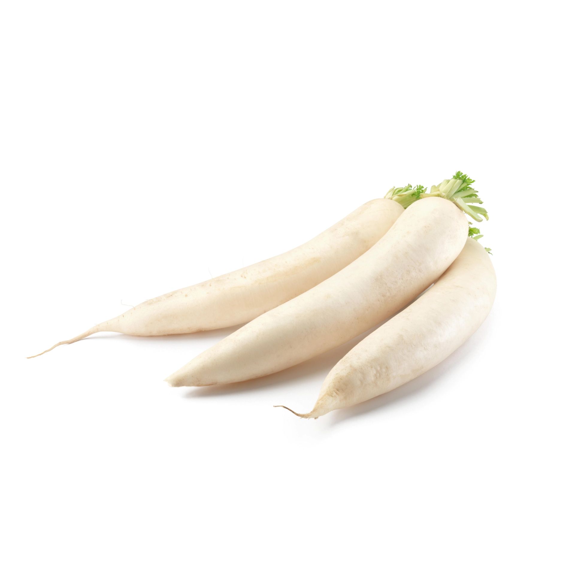Tre hele hvite rettich med tynne rotspisser og litt bladrester, liggende på hvit bakgrunn.