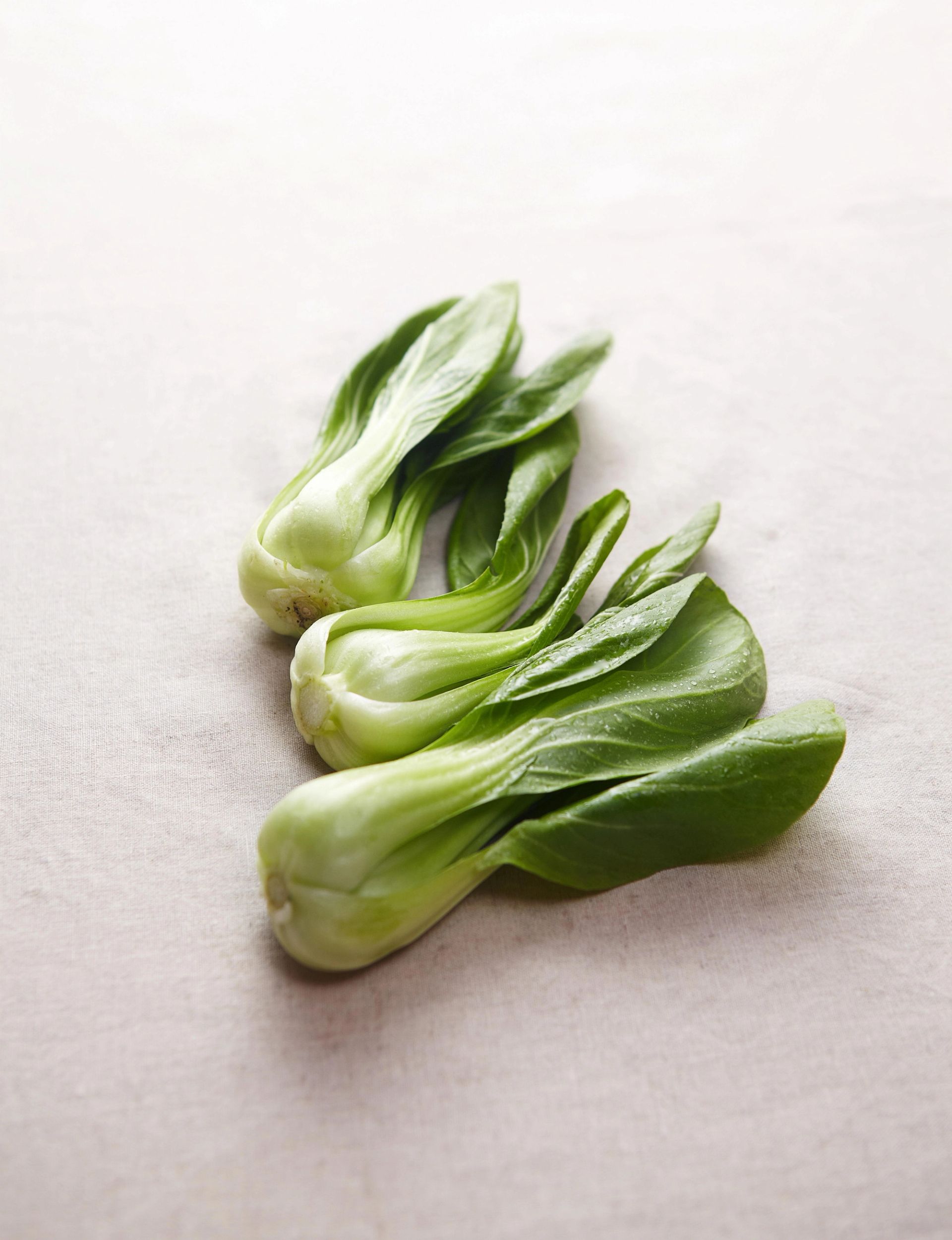 To små pak choi (bok choy) med lyse stilker og mørkegrønne blader, plassert på lys tekstilbakgrunn.