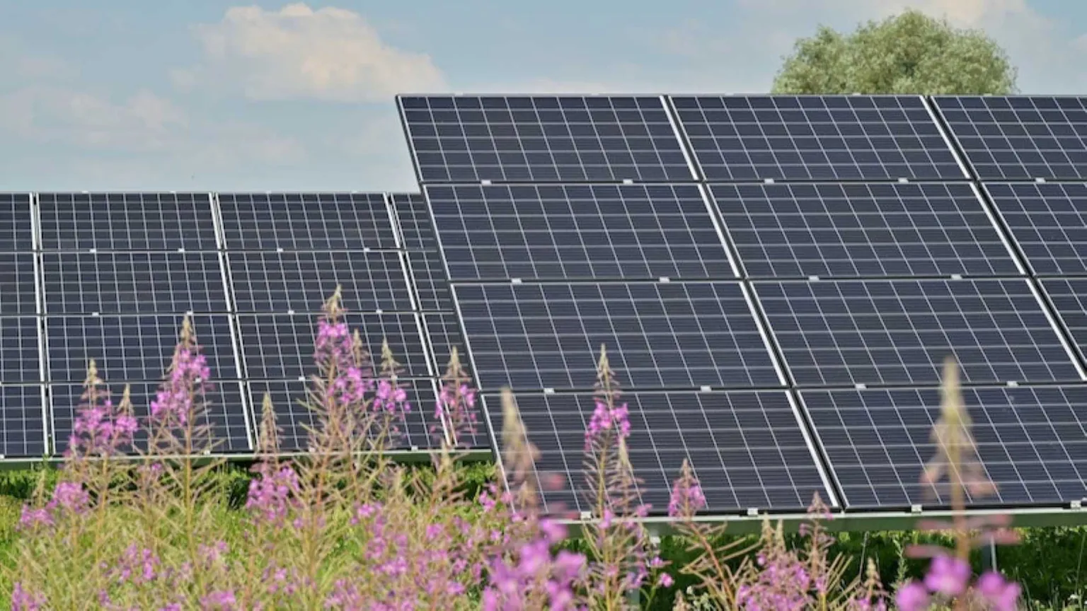 impianto fotovoltaico a terra