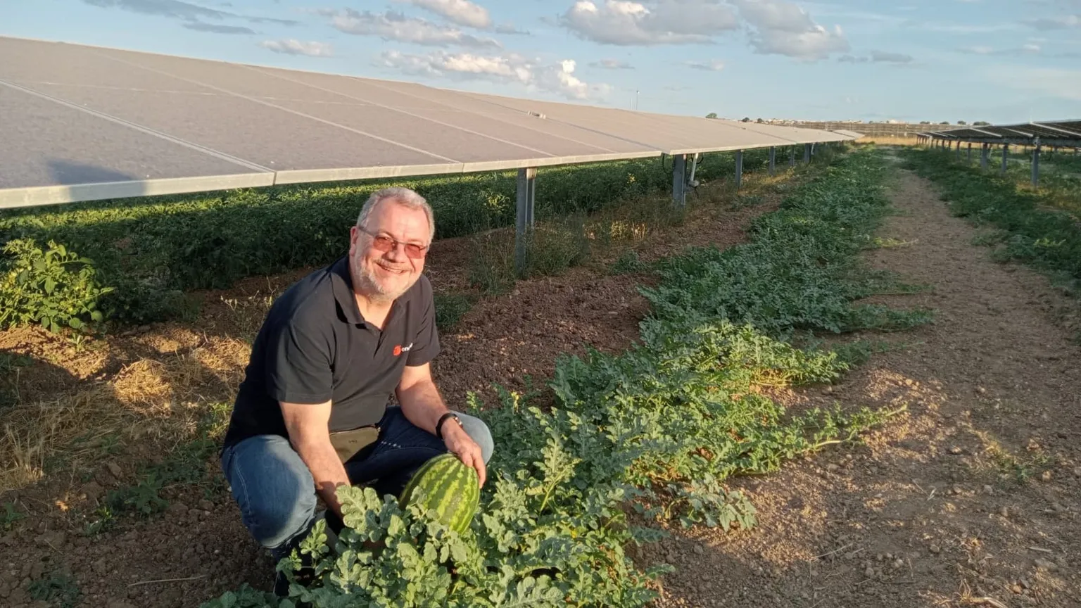 Paolo Rocco Viscontini con le prime coltivazioni sotto l'impianto di Monteparano