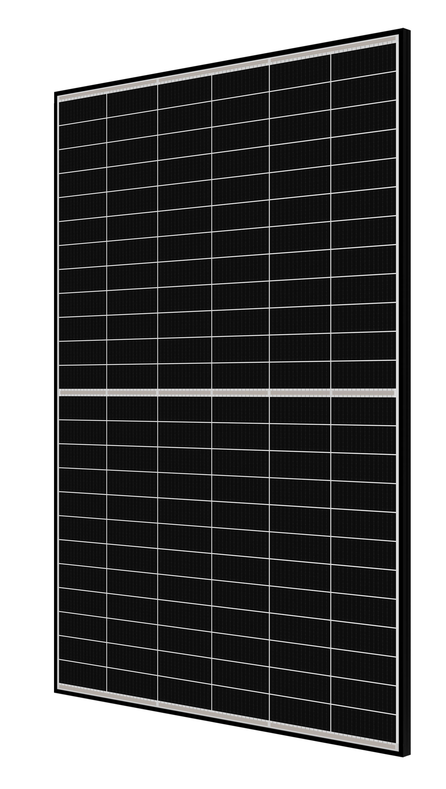 MODULO CANADIAN BLACK FRAME