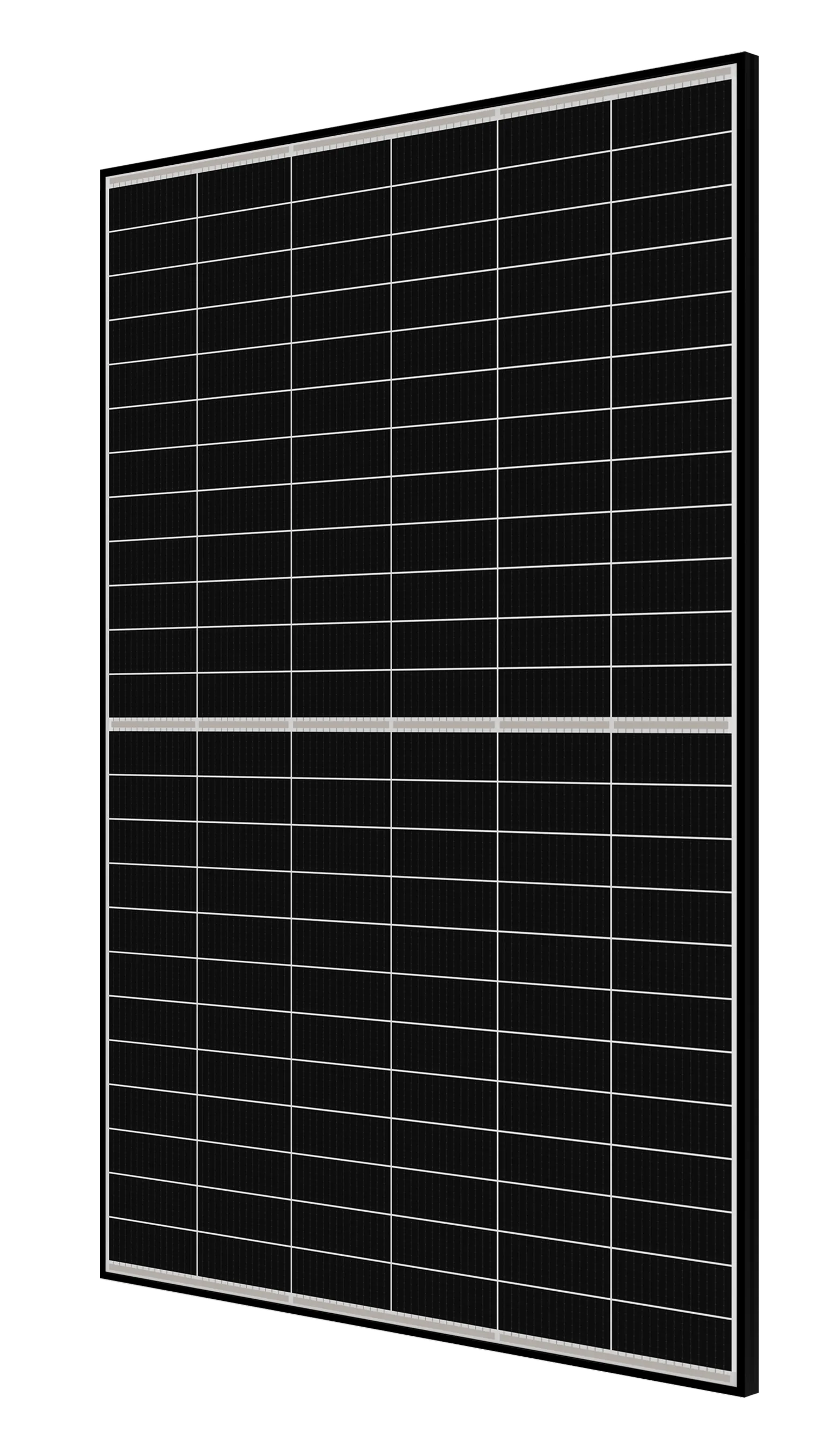 MODULO CANADIAN BLACK FRAME