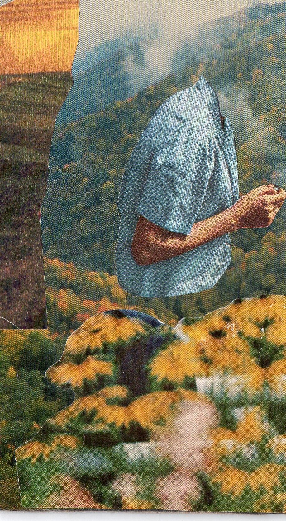 Emily Antinozzi — Collage