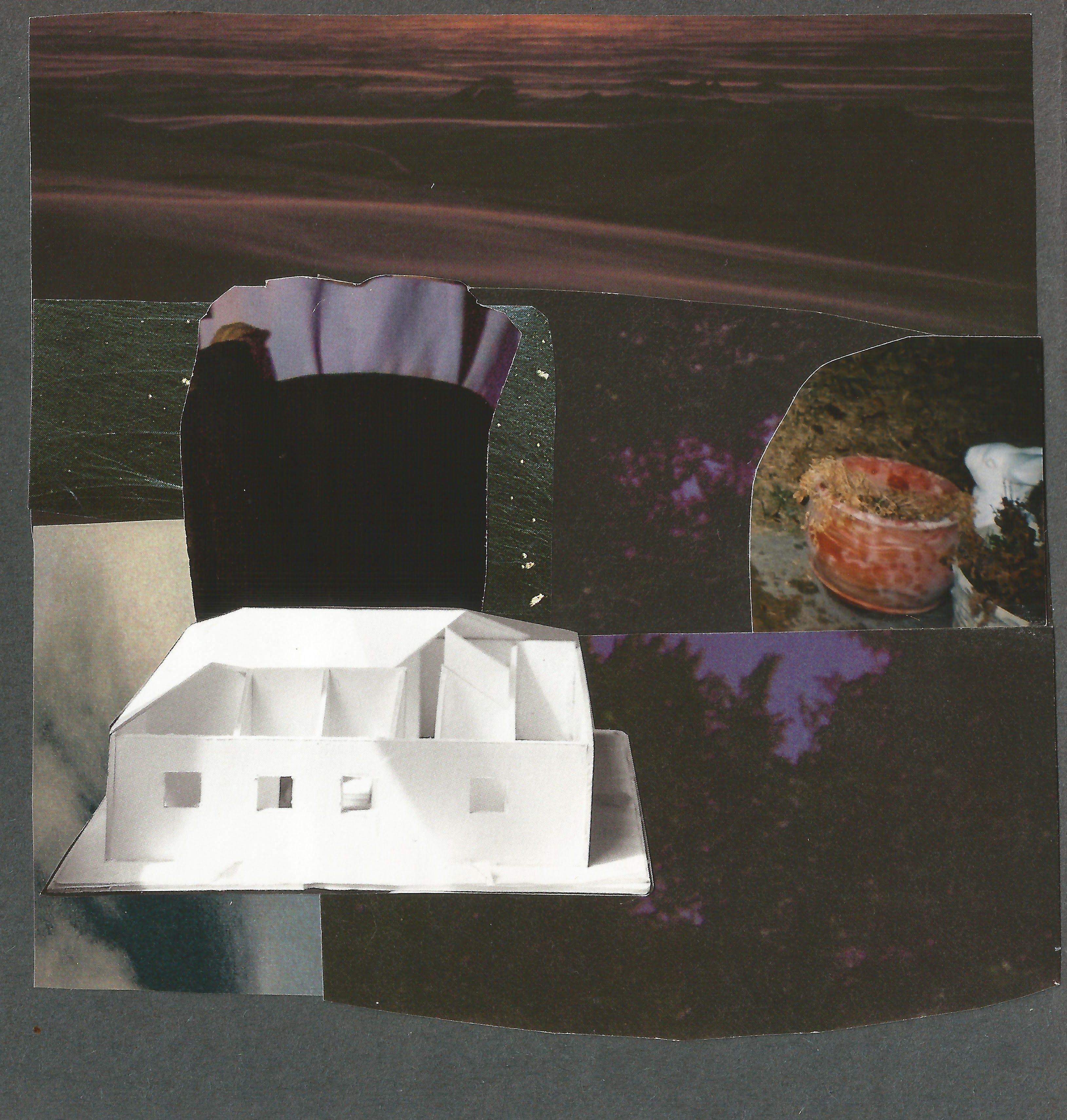 Emily Antinozzi — Collage