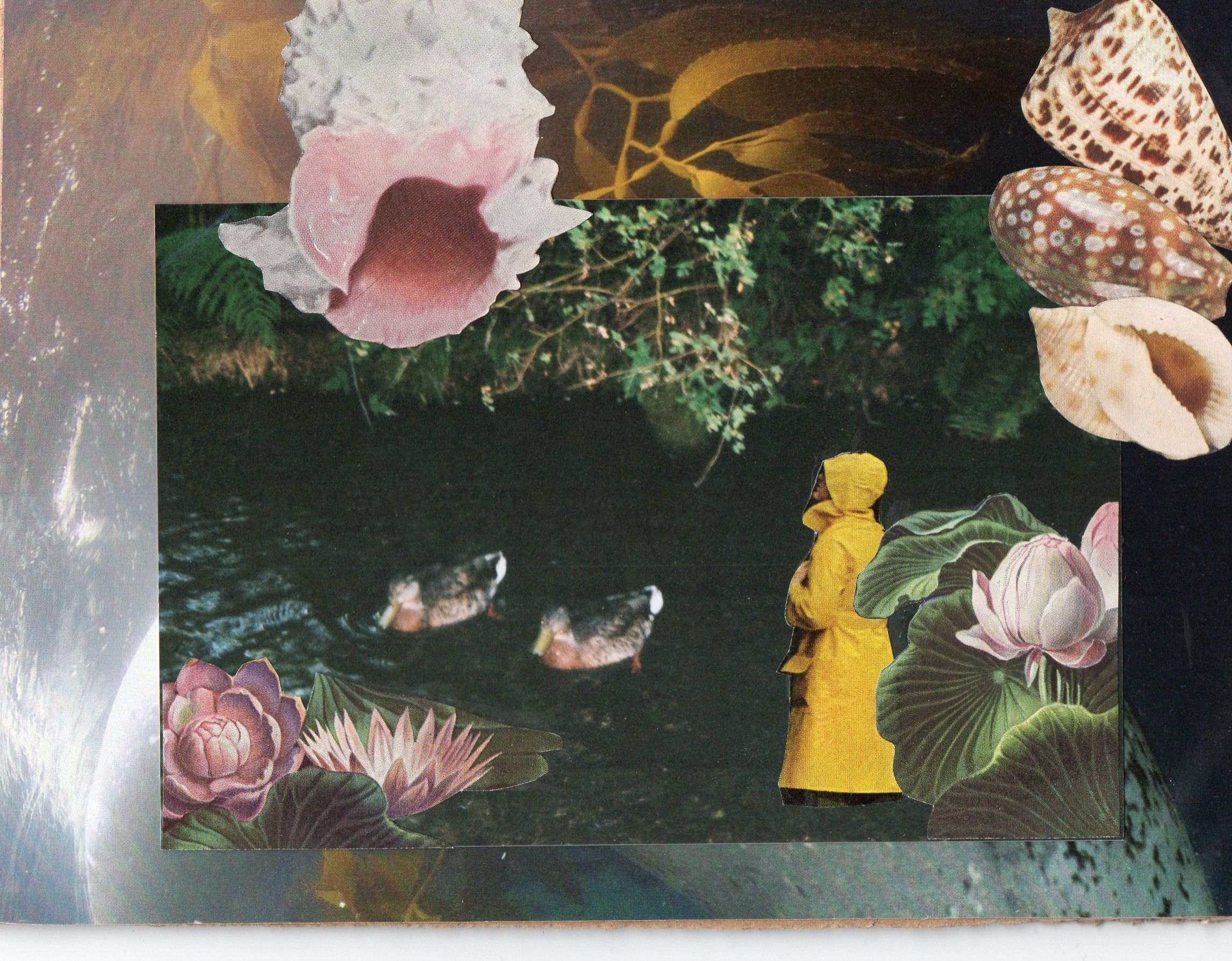 Emily Antinozzi — Collage