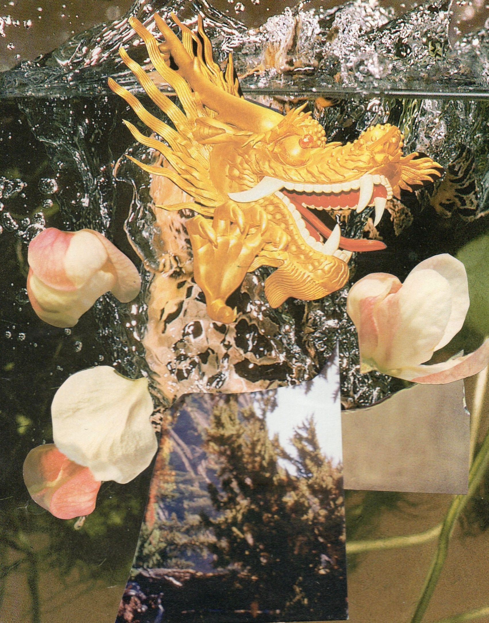 Emily Antinozzi — Collage