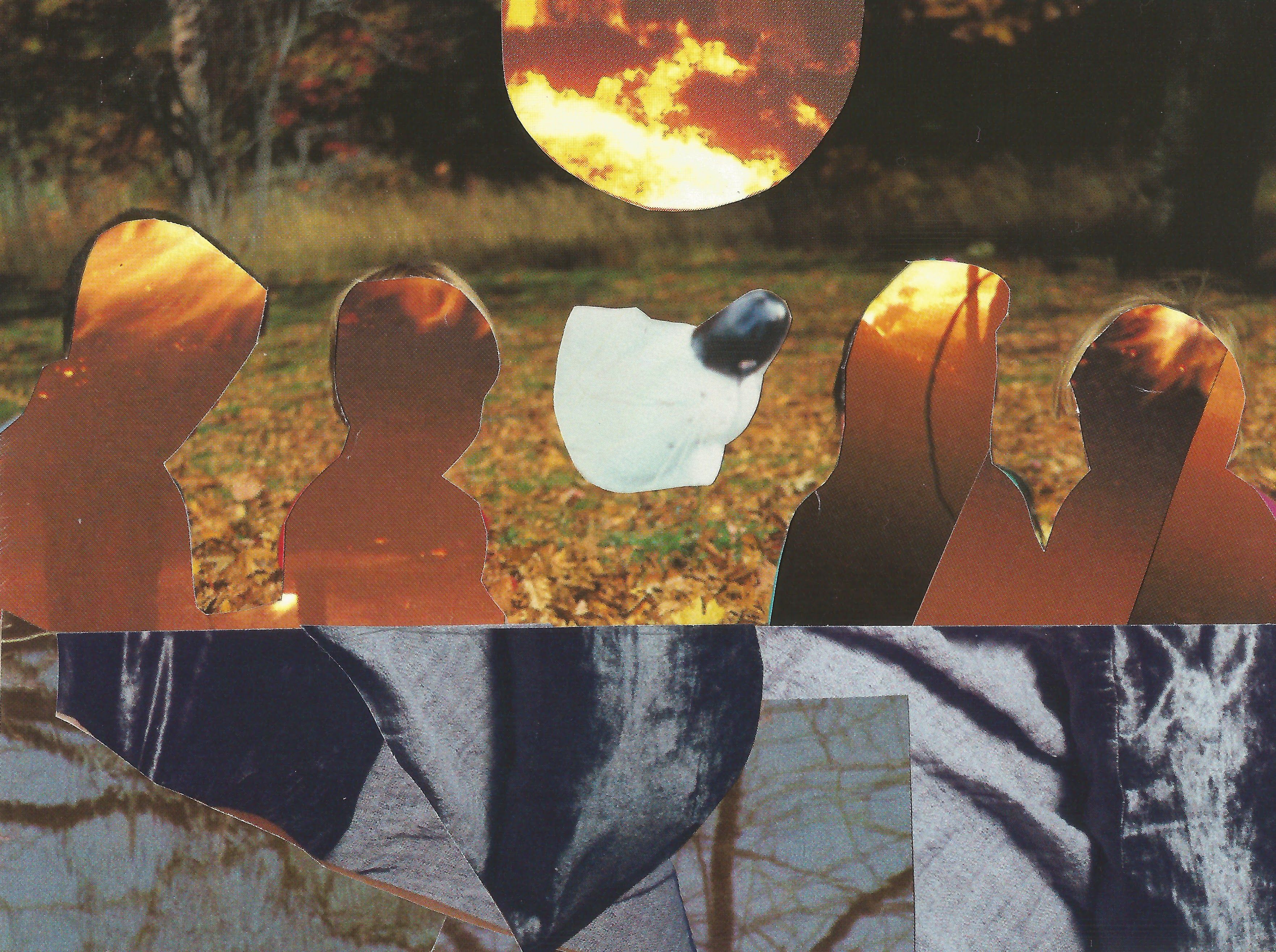 Emily Antinozzi — Collage