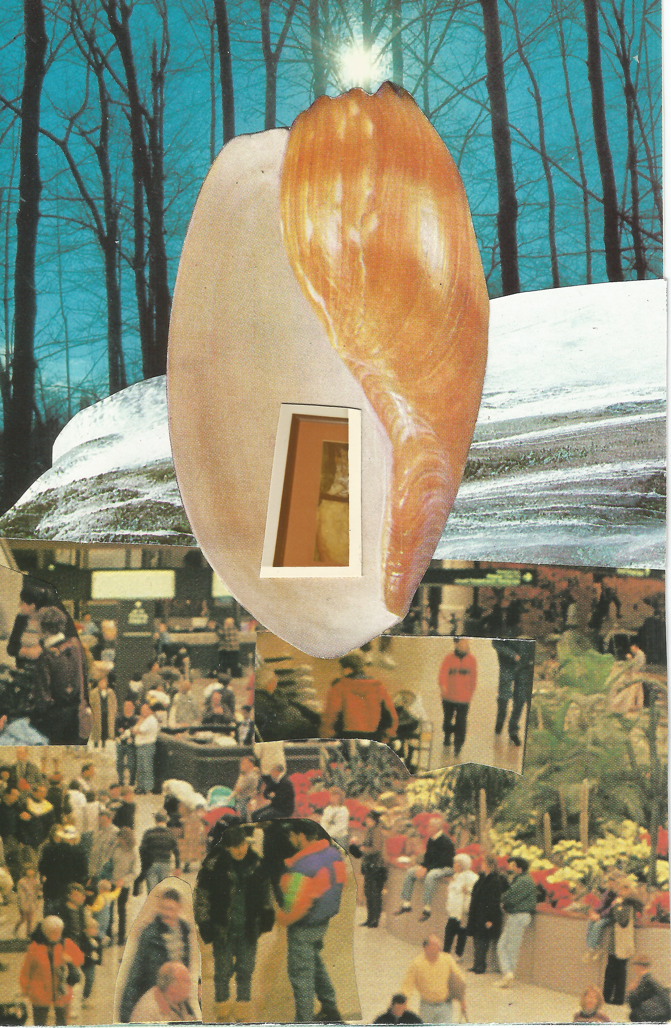 Emily Antinozzi — Collage