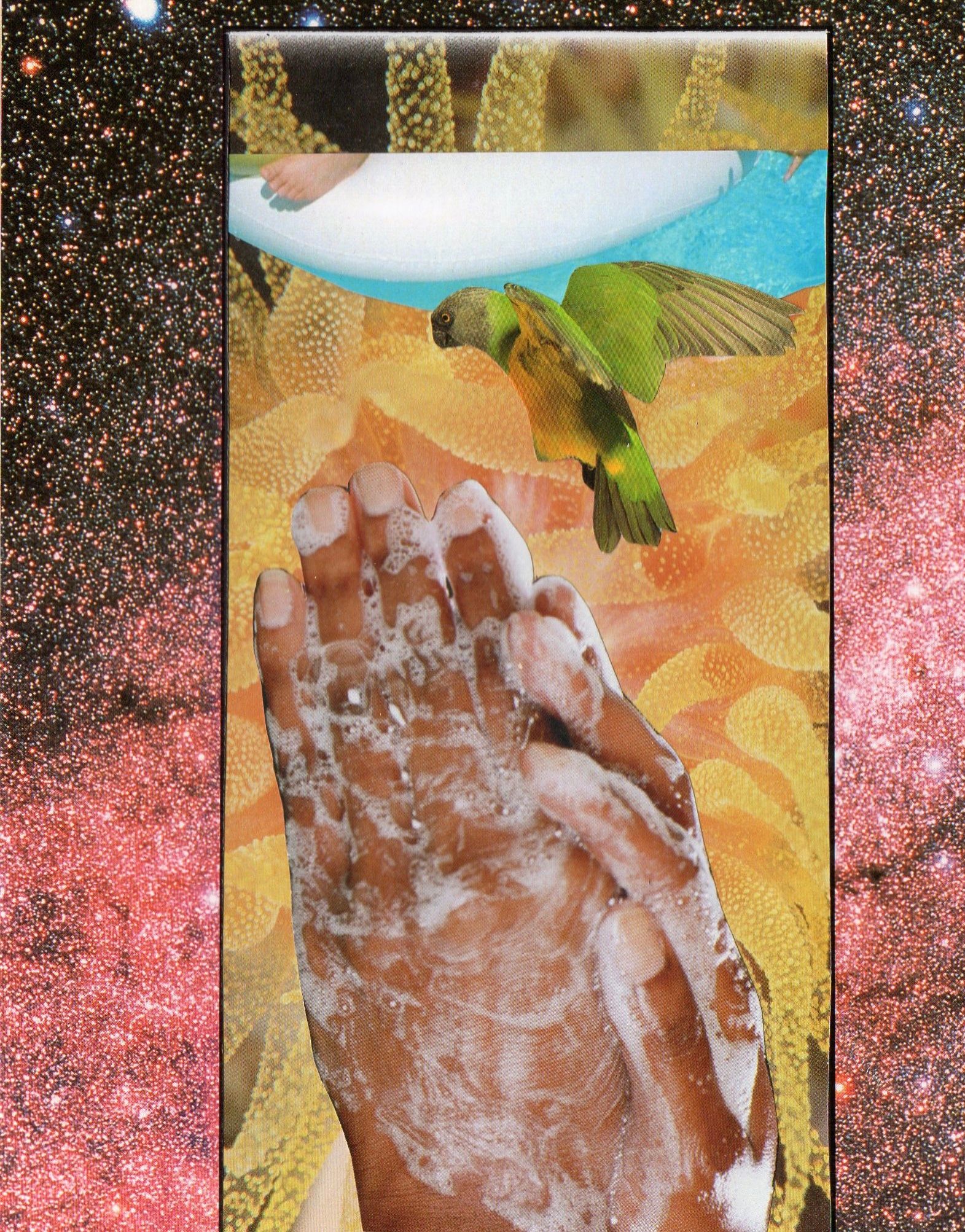 Emily Antinozzi — Collage