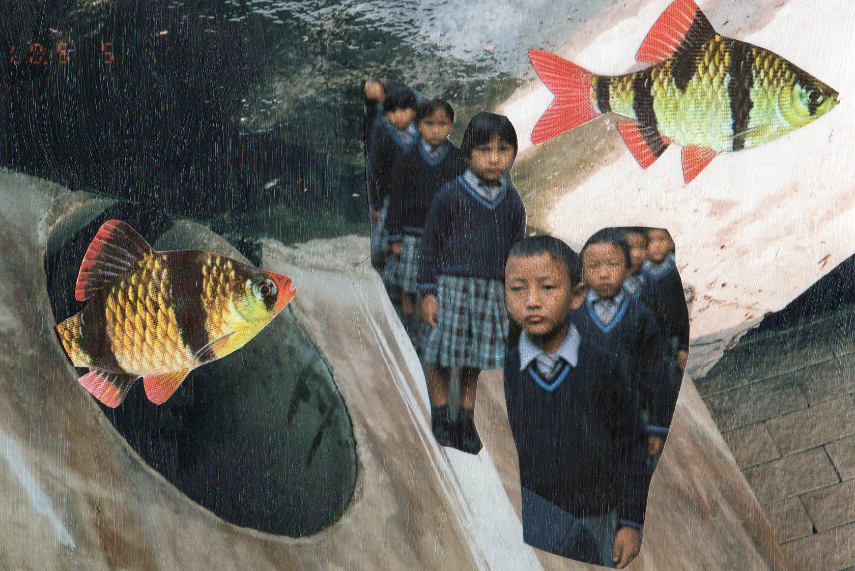 Emily Antinozzi — Collage