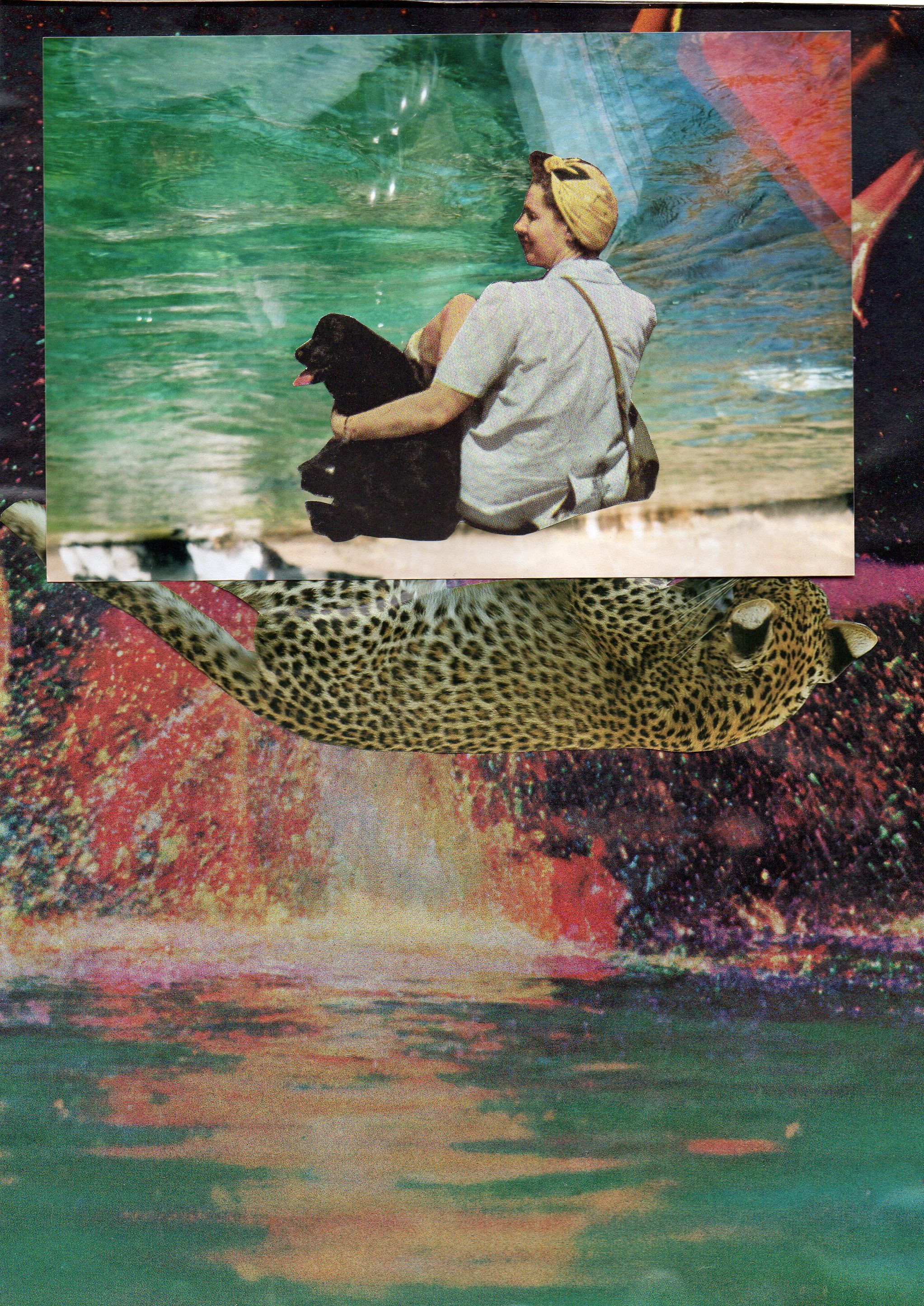 Emily Antinozzi — Collage