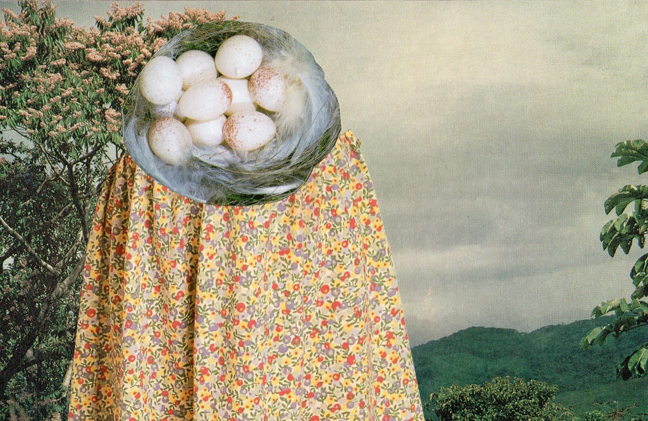 Emily Antinozzi — Collage