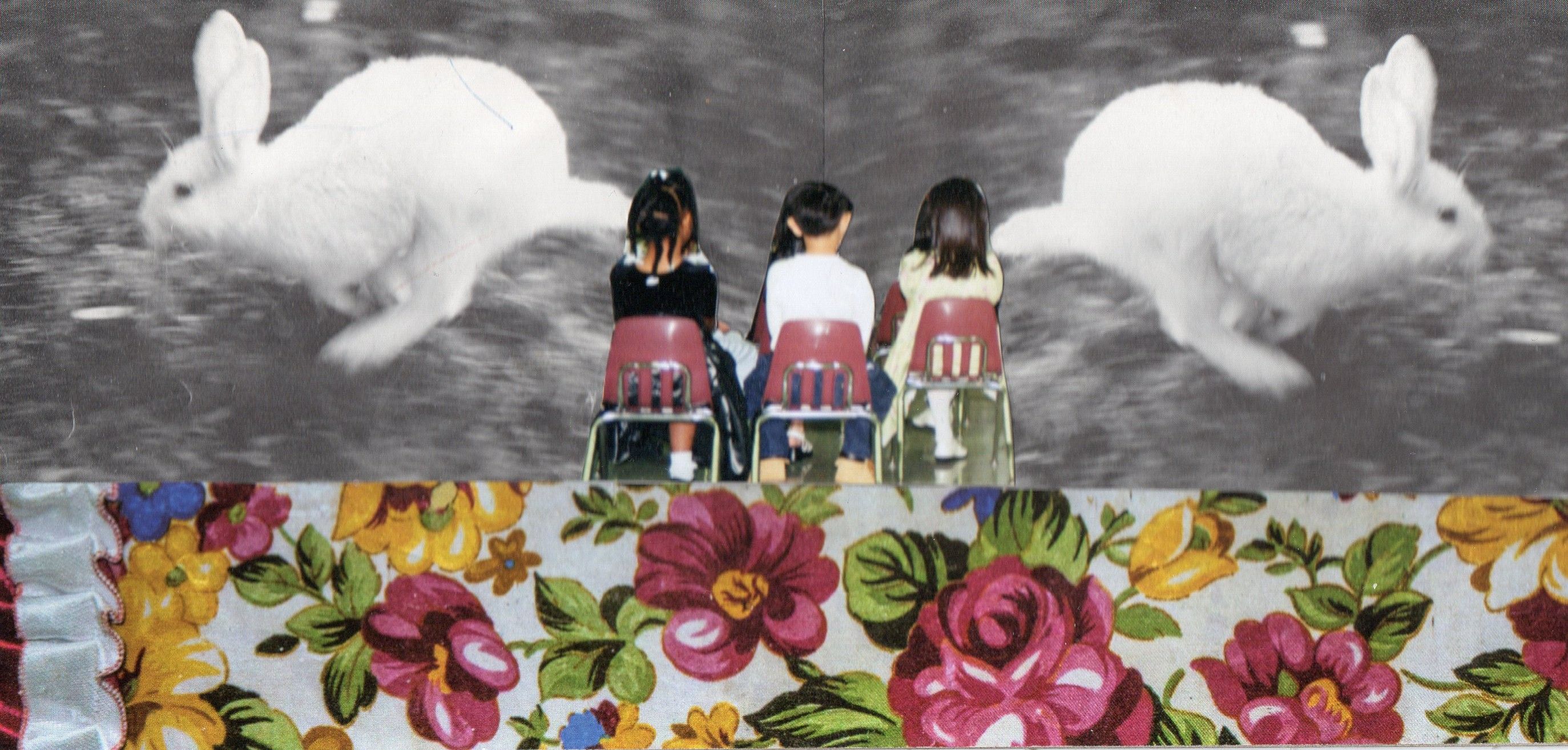 Emily Antinozzi — Collage