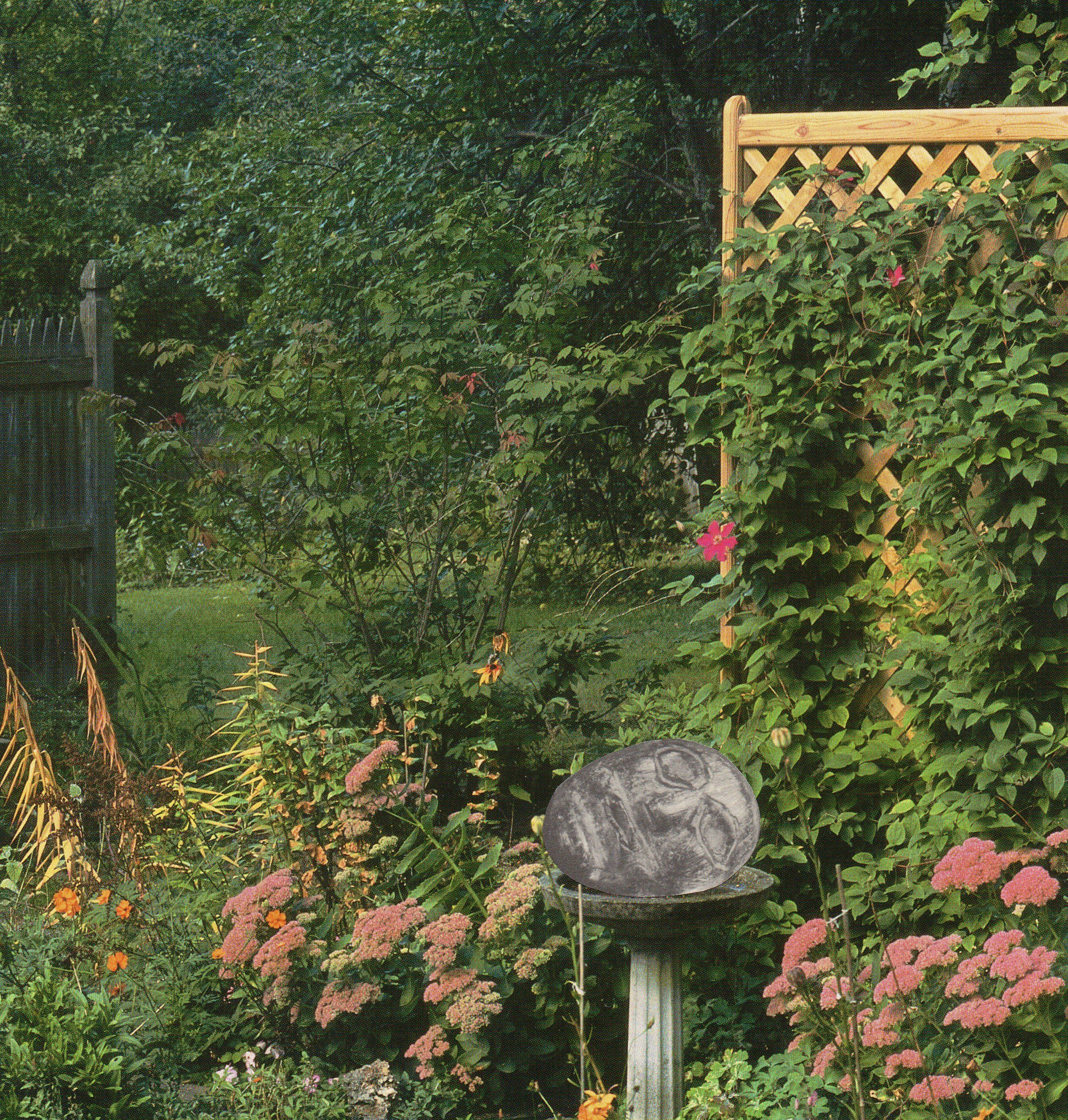 Emily Antinozzi — Collage