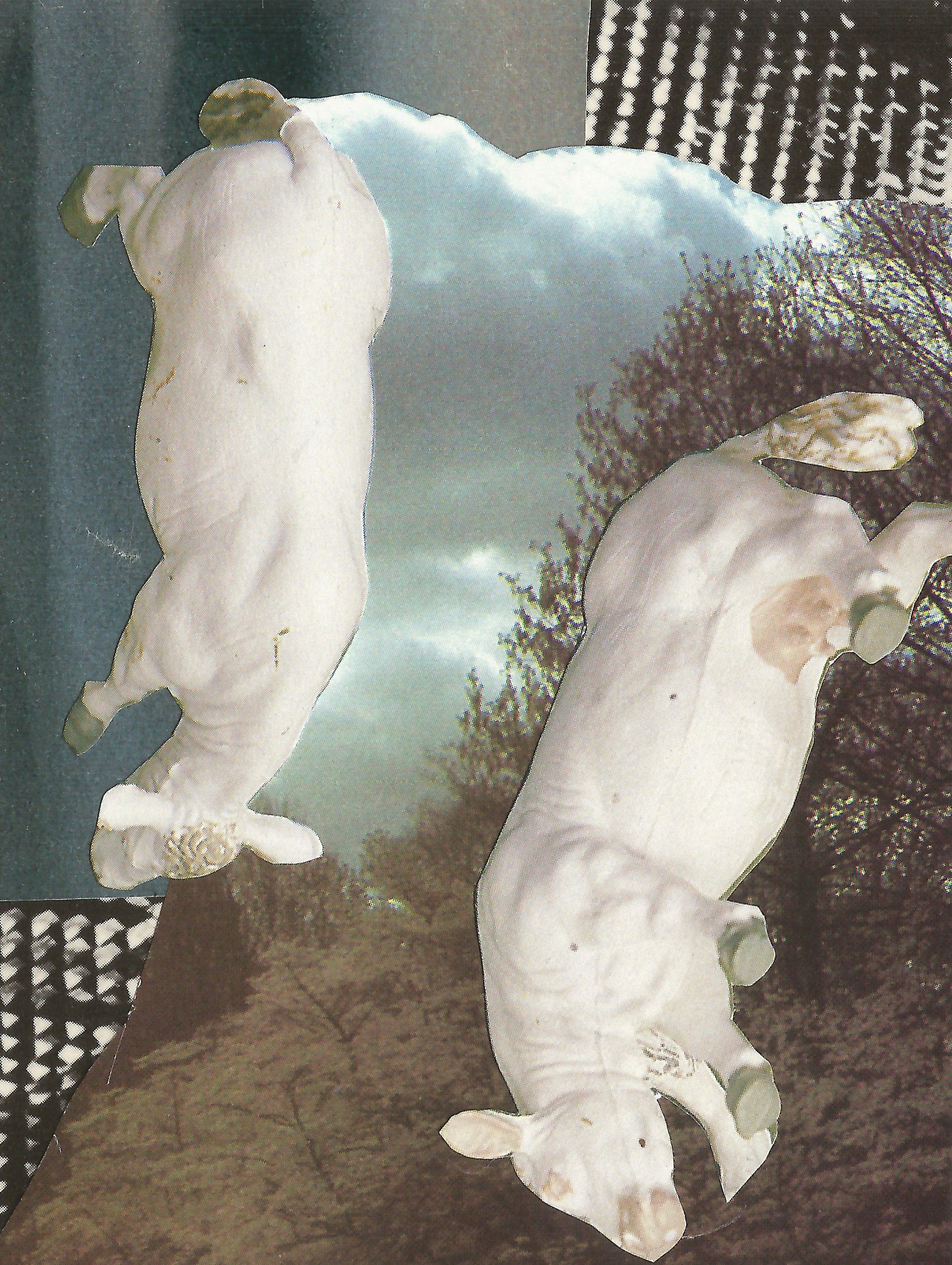 Emily Antinozzi — Collage