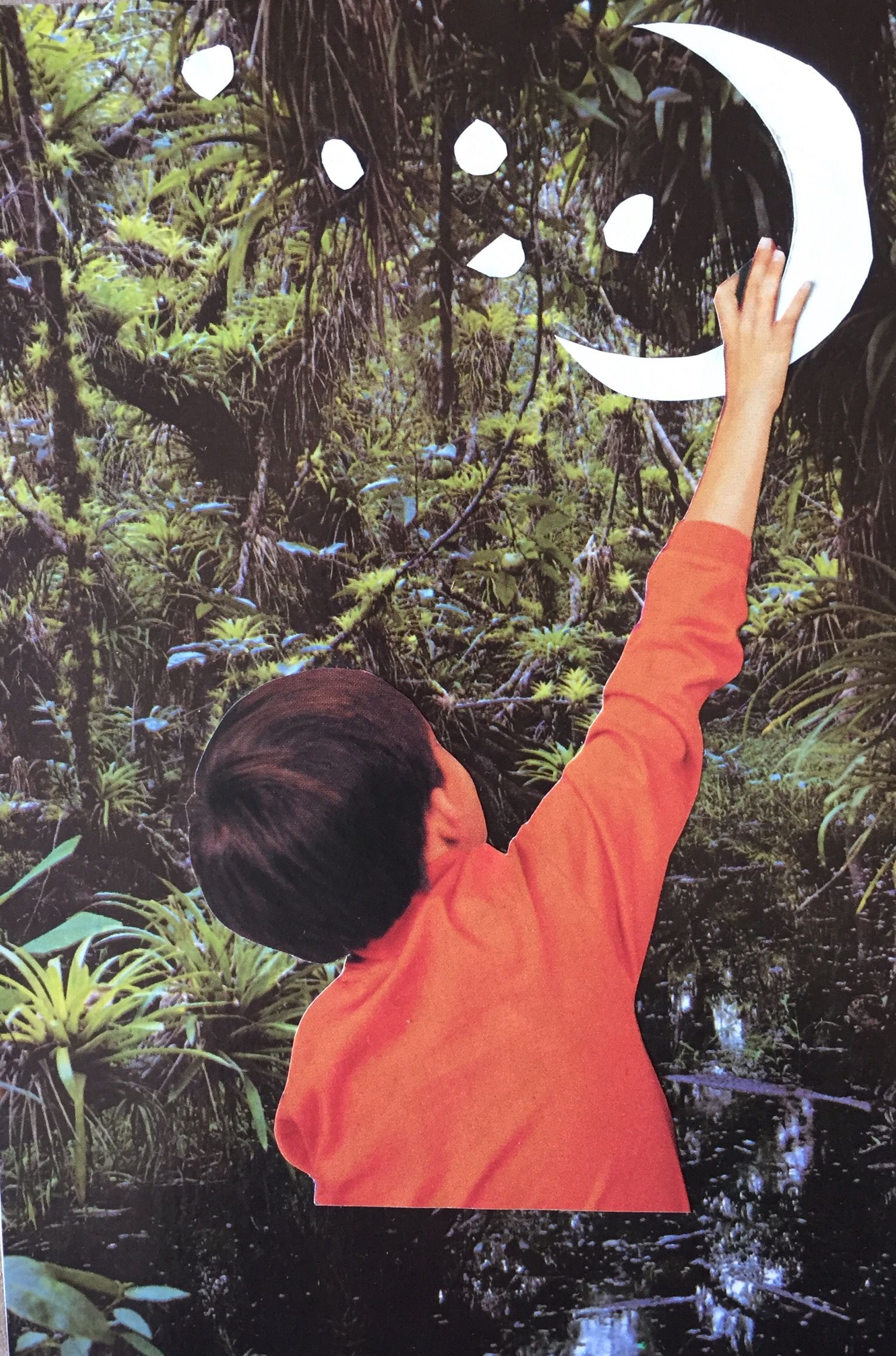 Emily Antinozzi — Collage